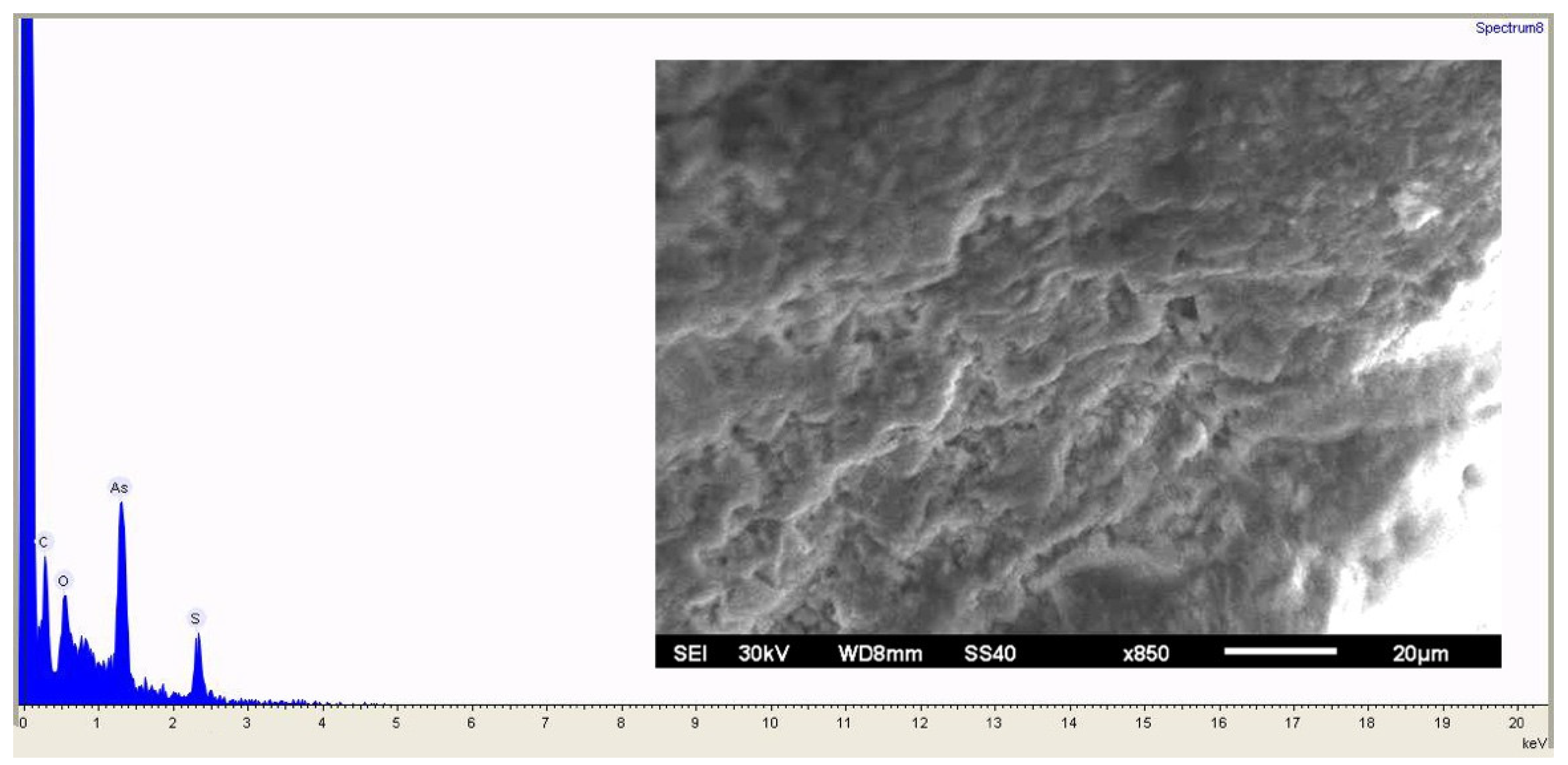 Coatings 11 01087 g004