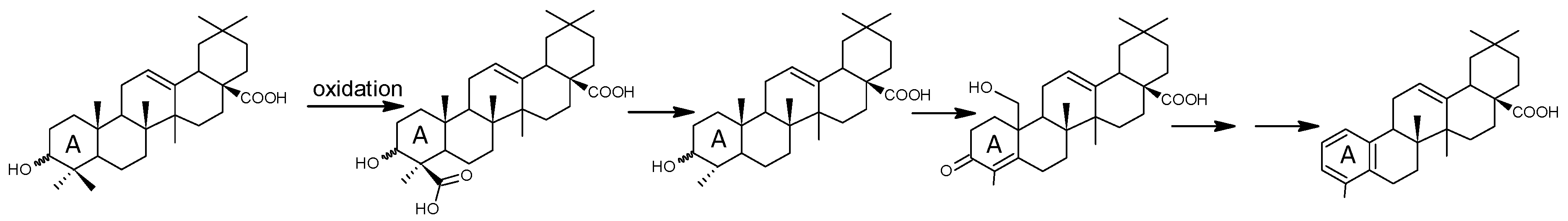 Coatings 11 01087 g007