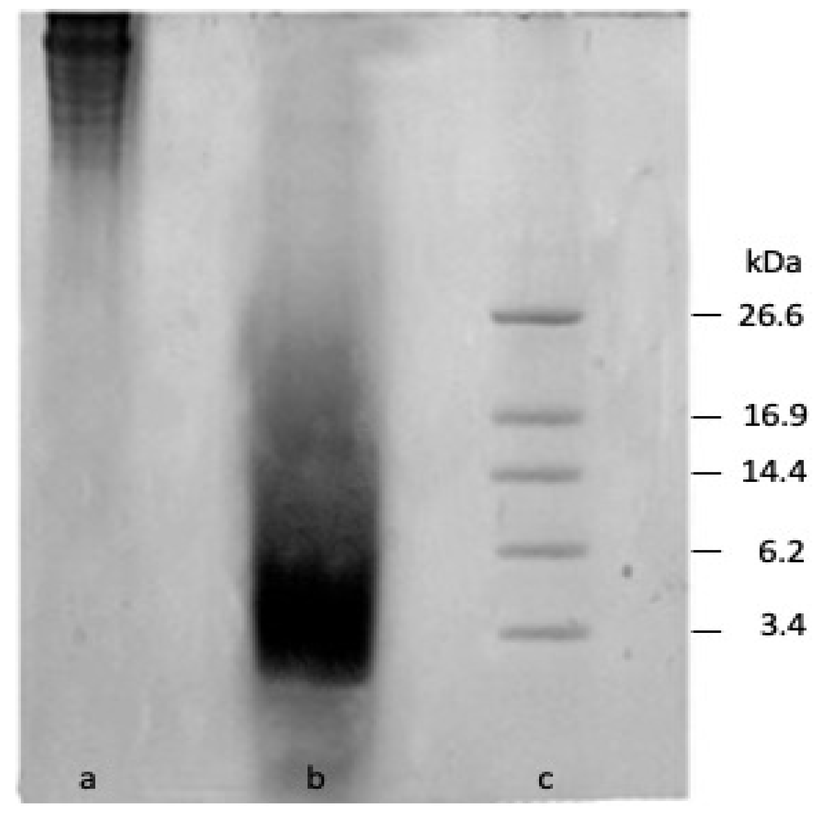 Coatings 11 01088 g001
