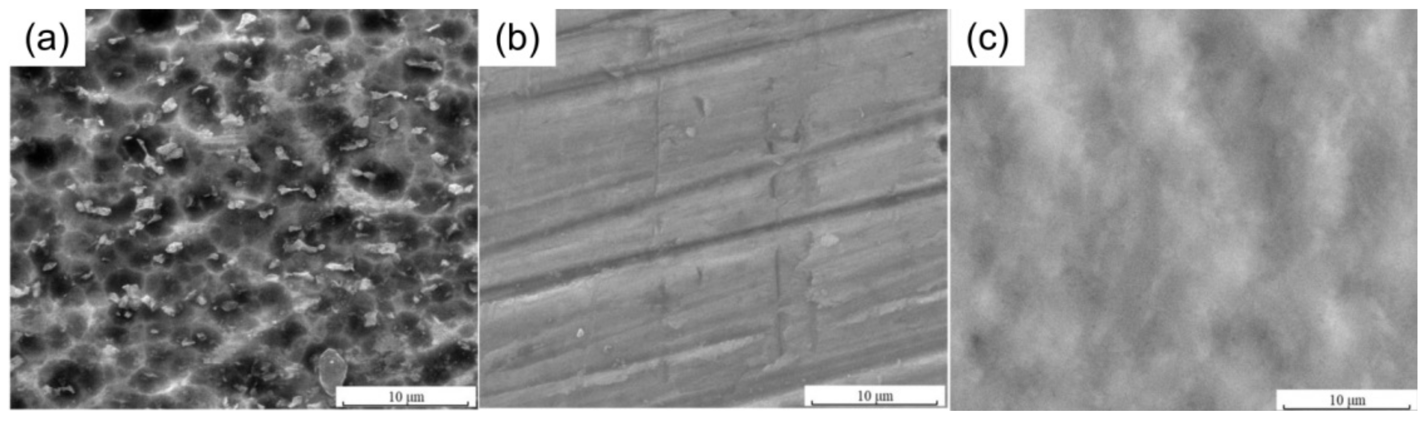 Coatings 11 01090 g002