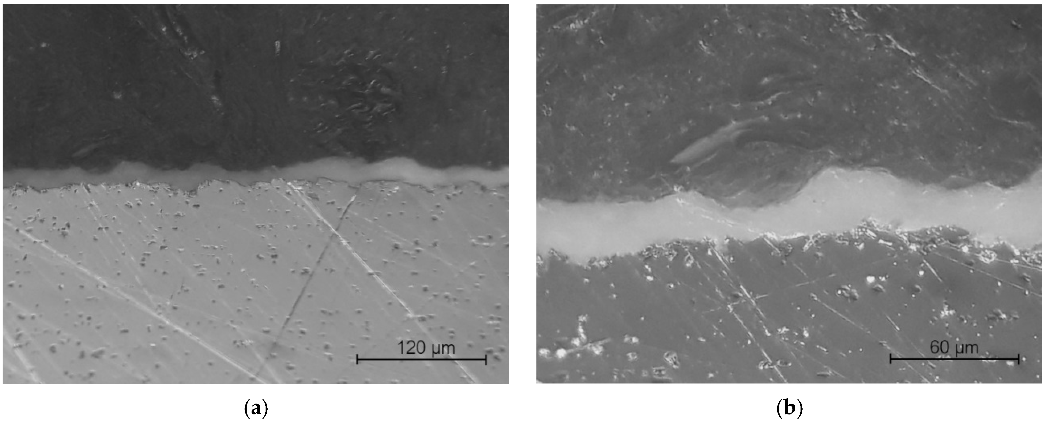 Coatings 11 01093 g006 550