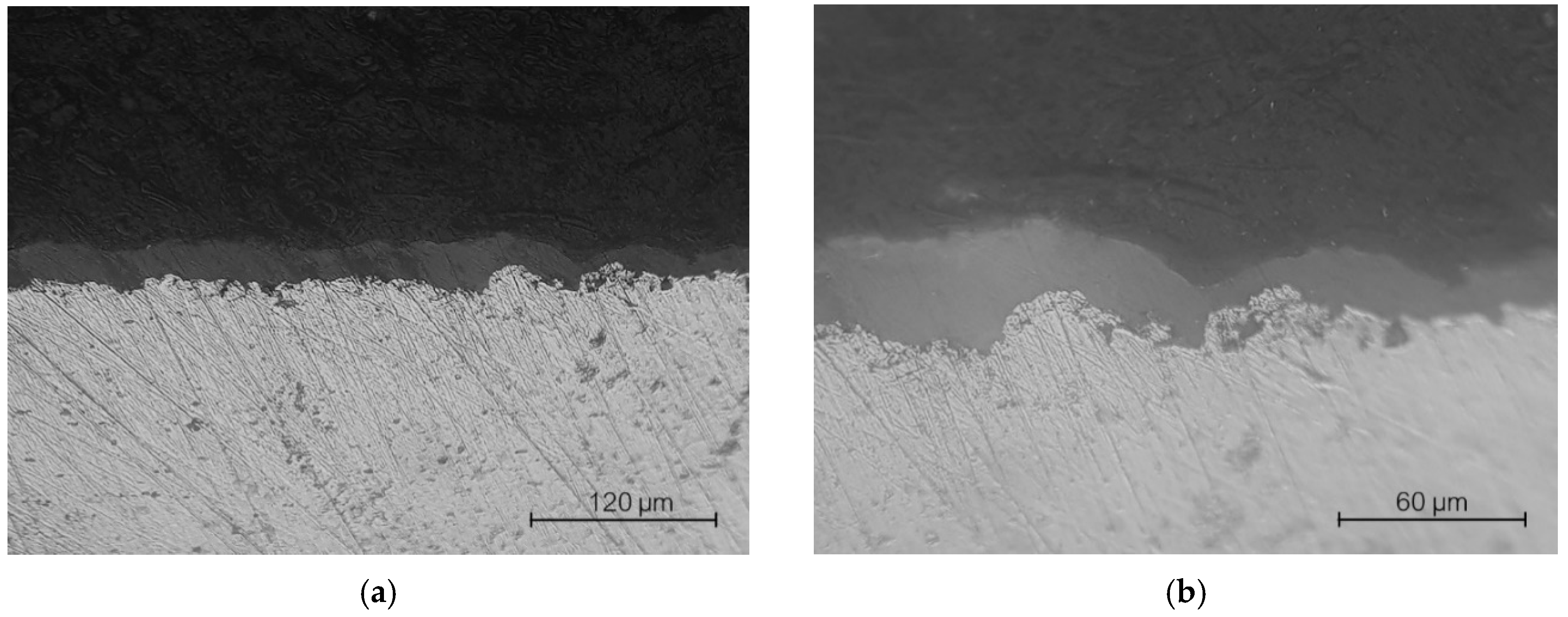 Coatings 11 01093 g007 550
