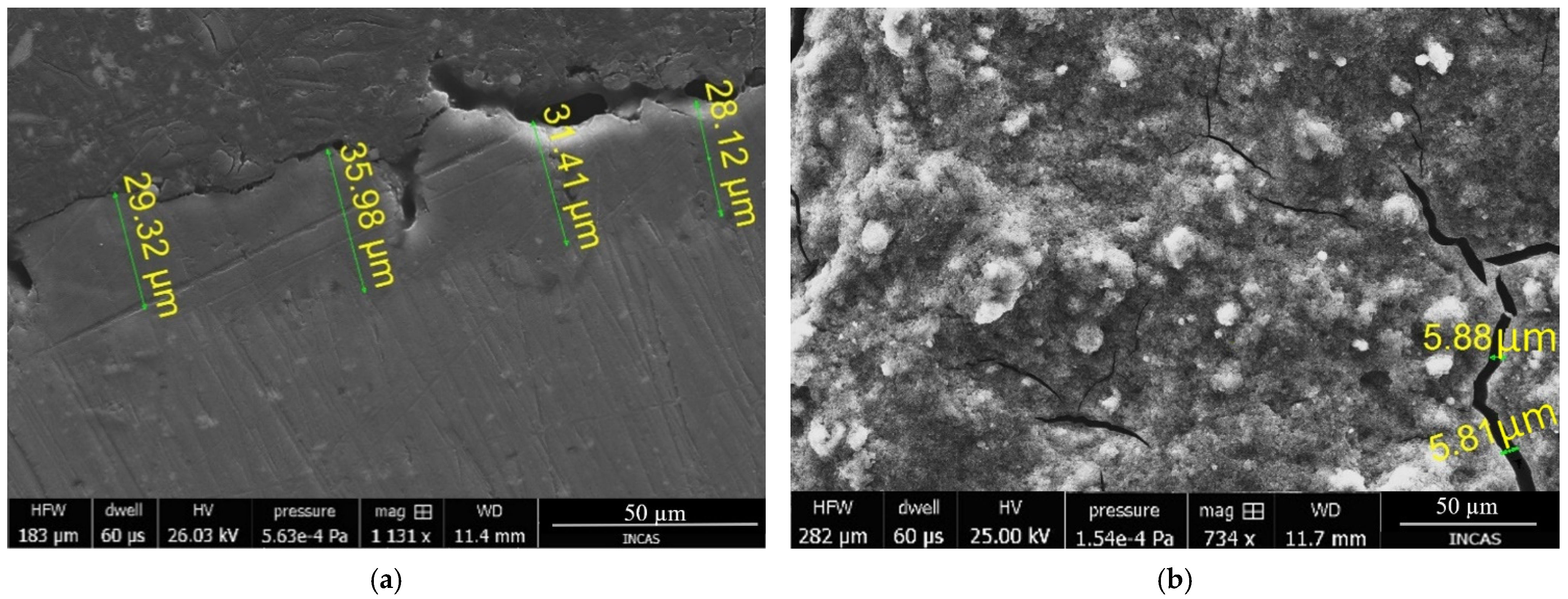 Coatings 11 01093 g009 550