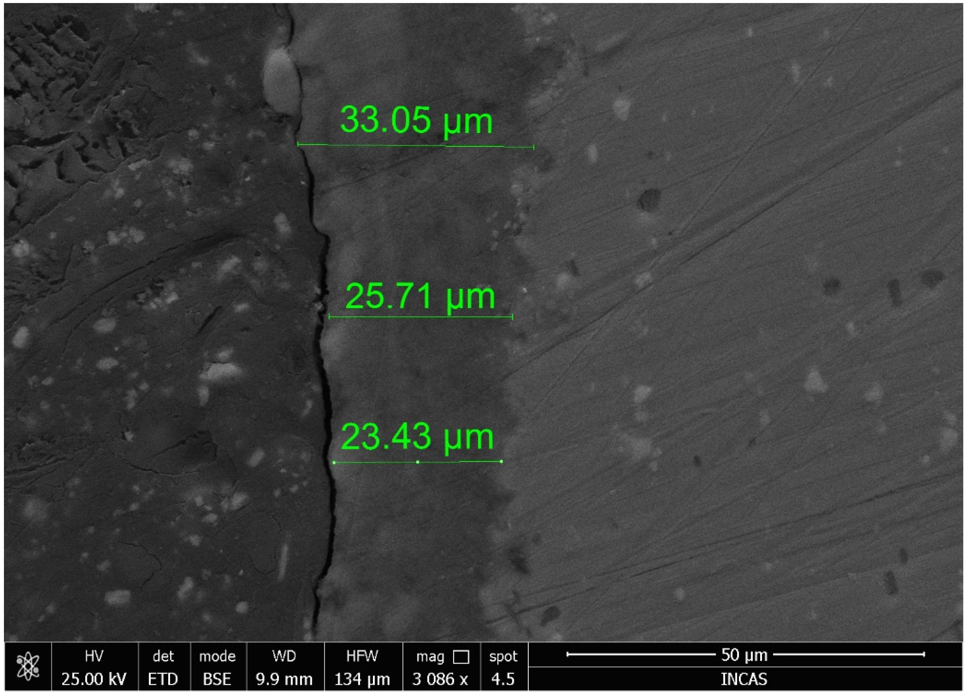 Coatings 11 01093 g010 550