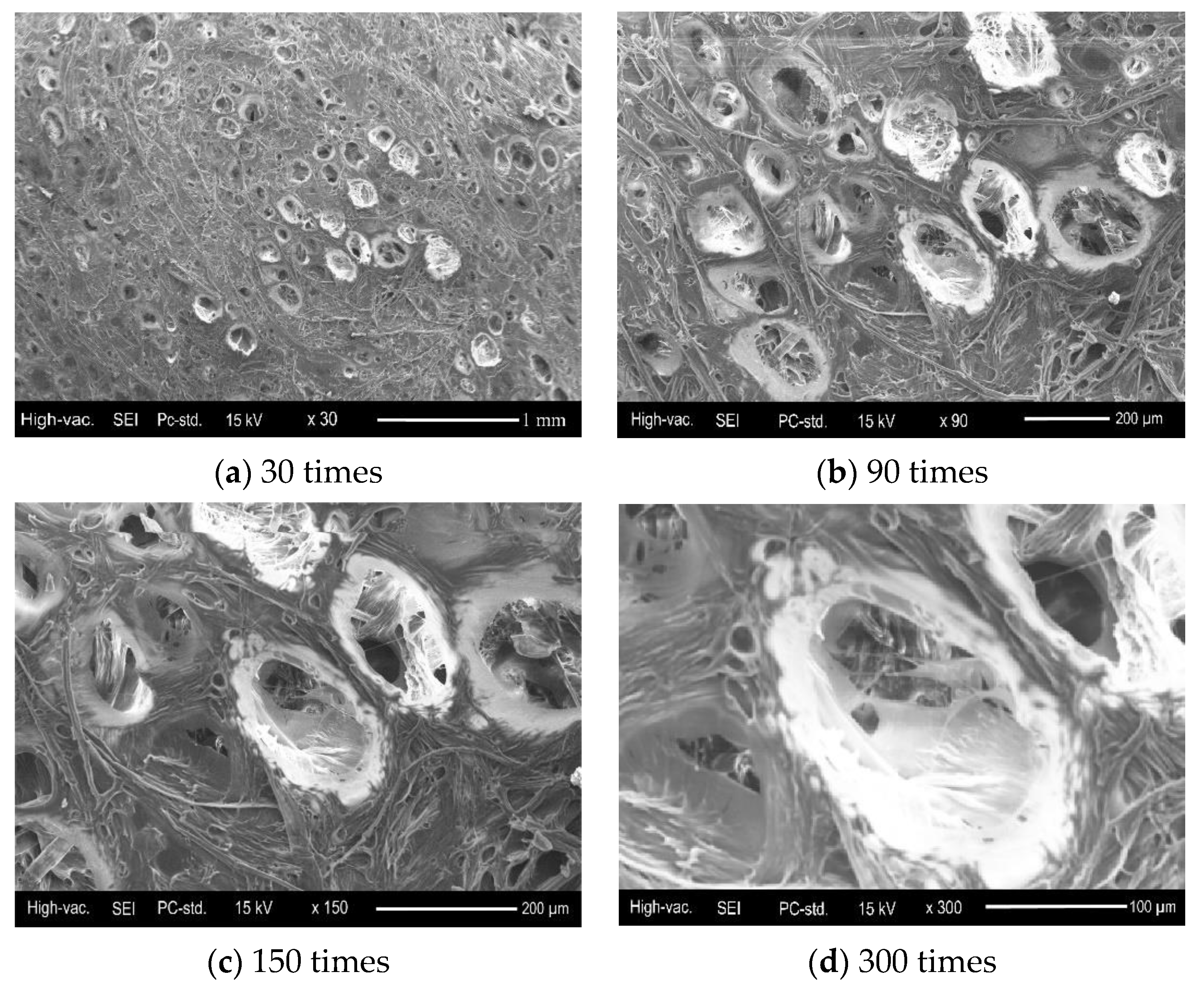 Coatings 11 01094 g001