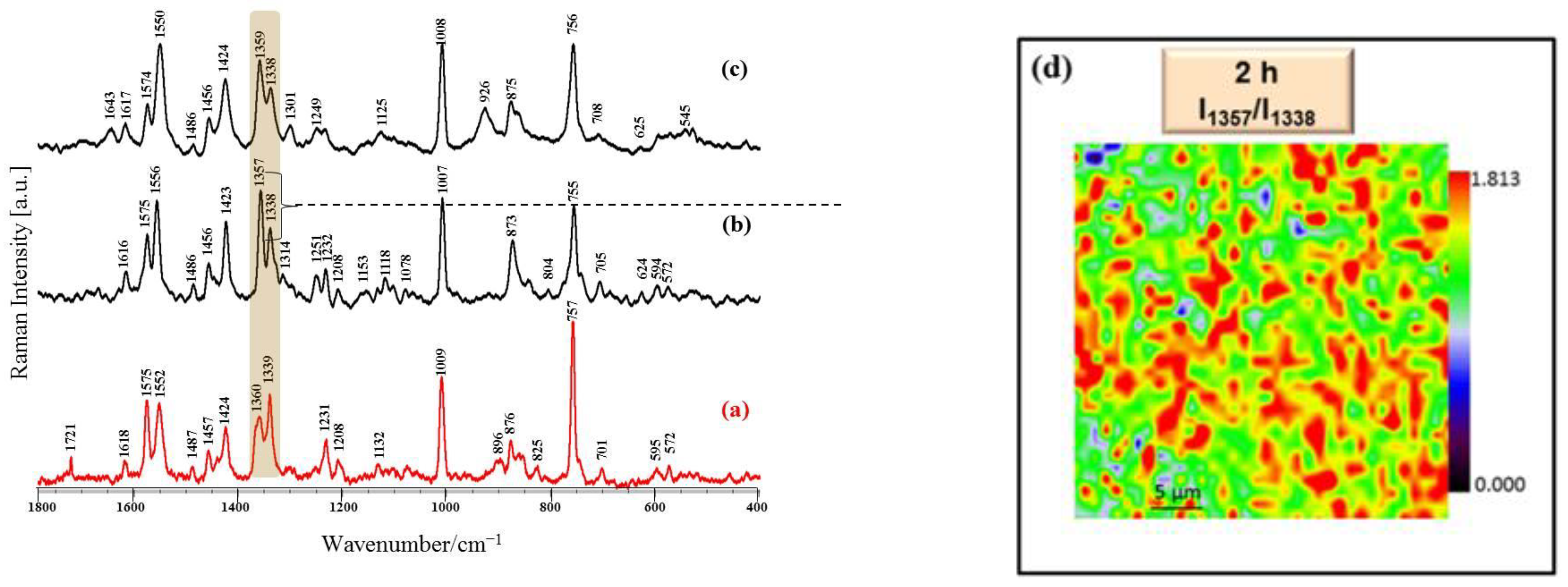 Coatings 11 01097 g004