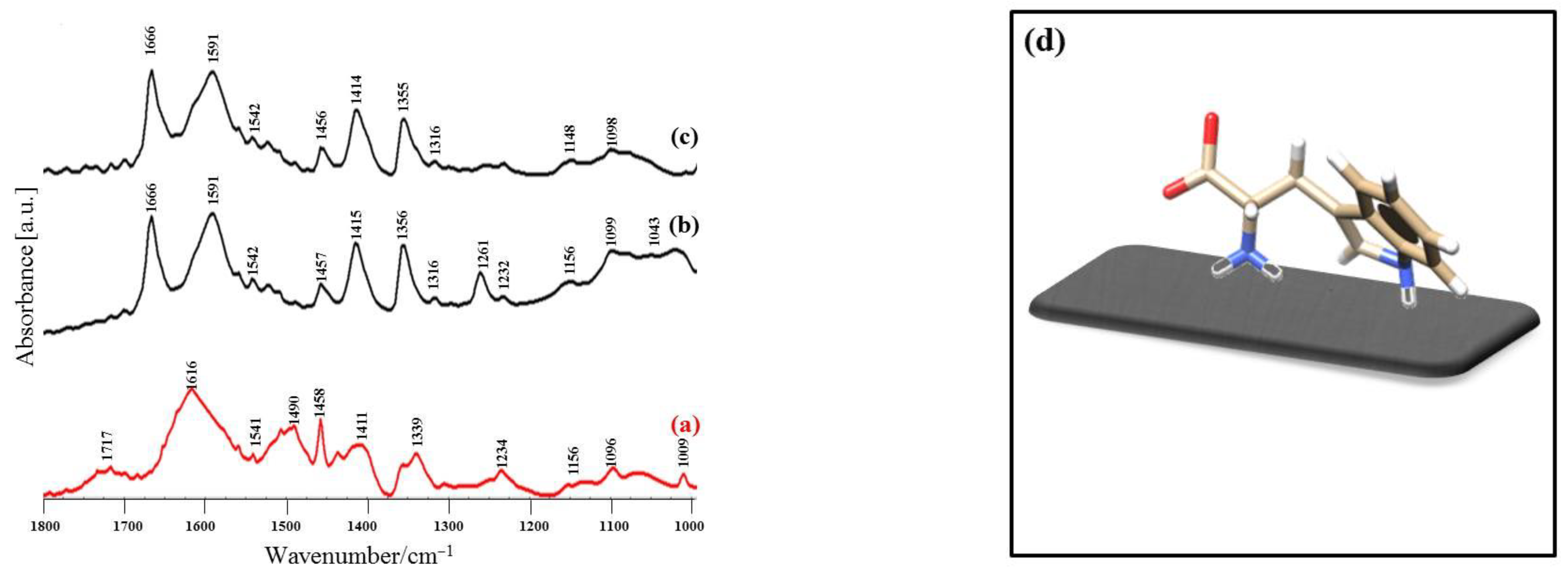 Coatings 11 01097 g005