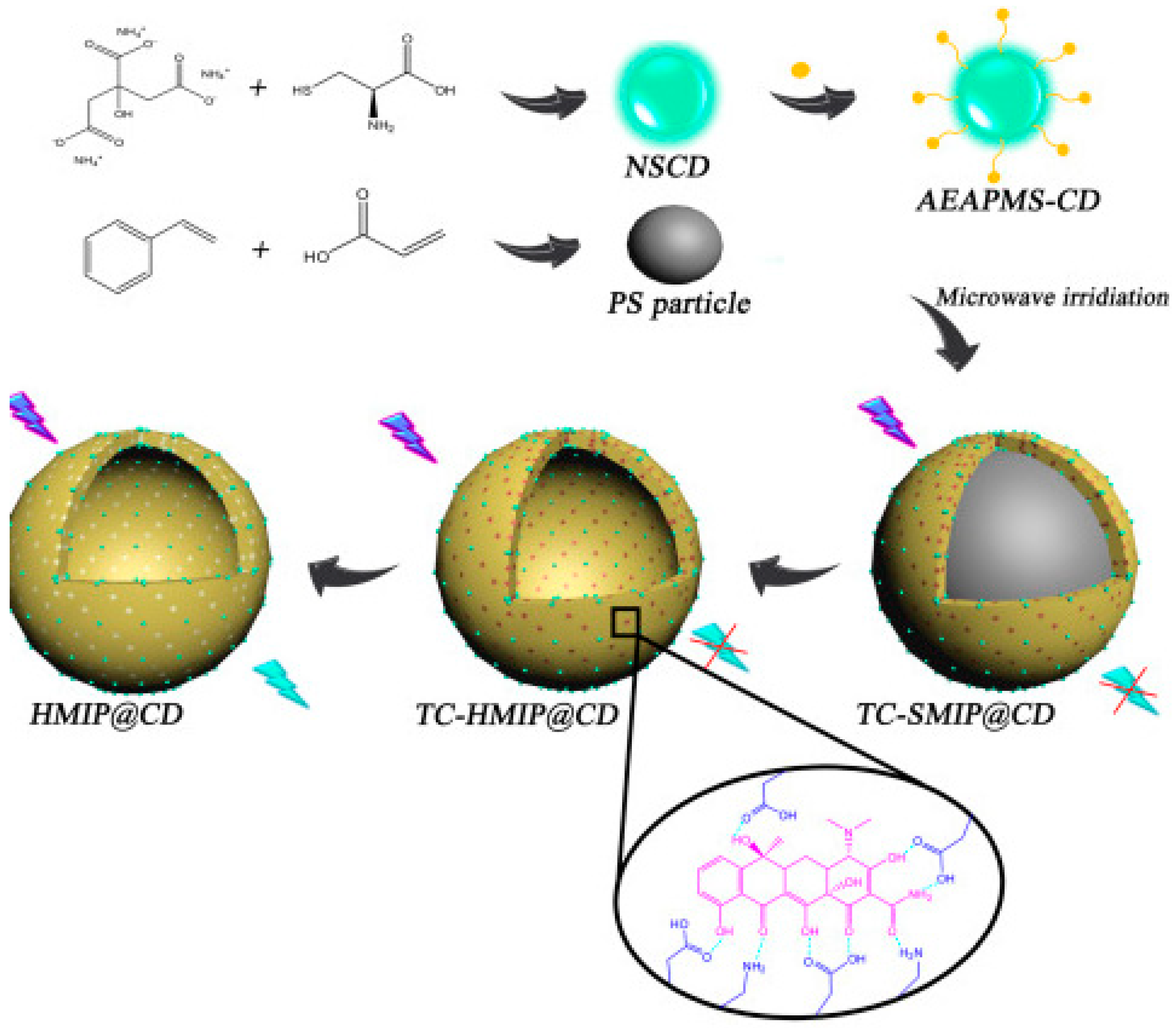 Coatings 11 01100 g004