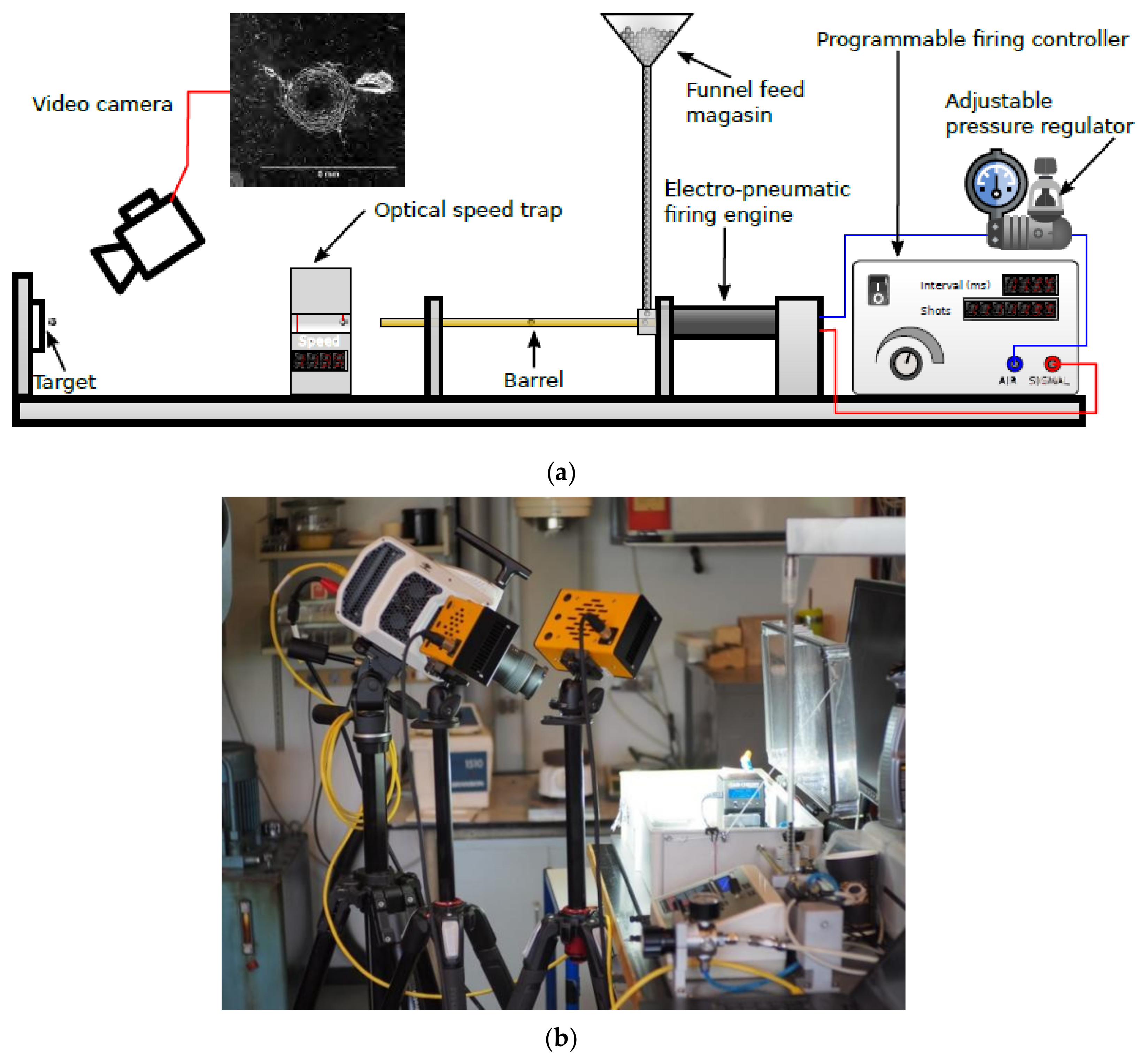 Coatings 11 01104 g002