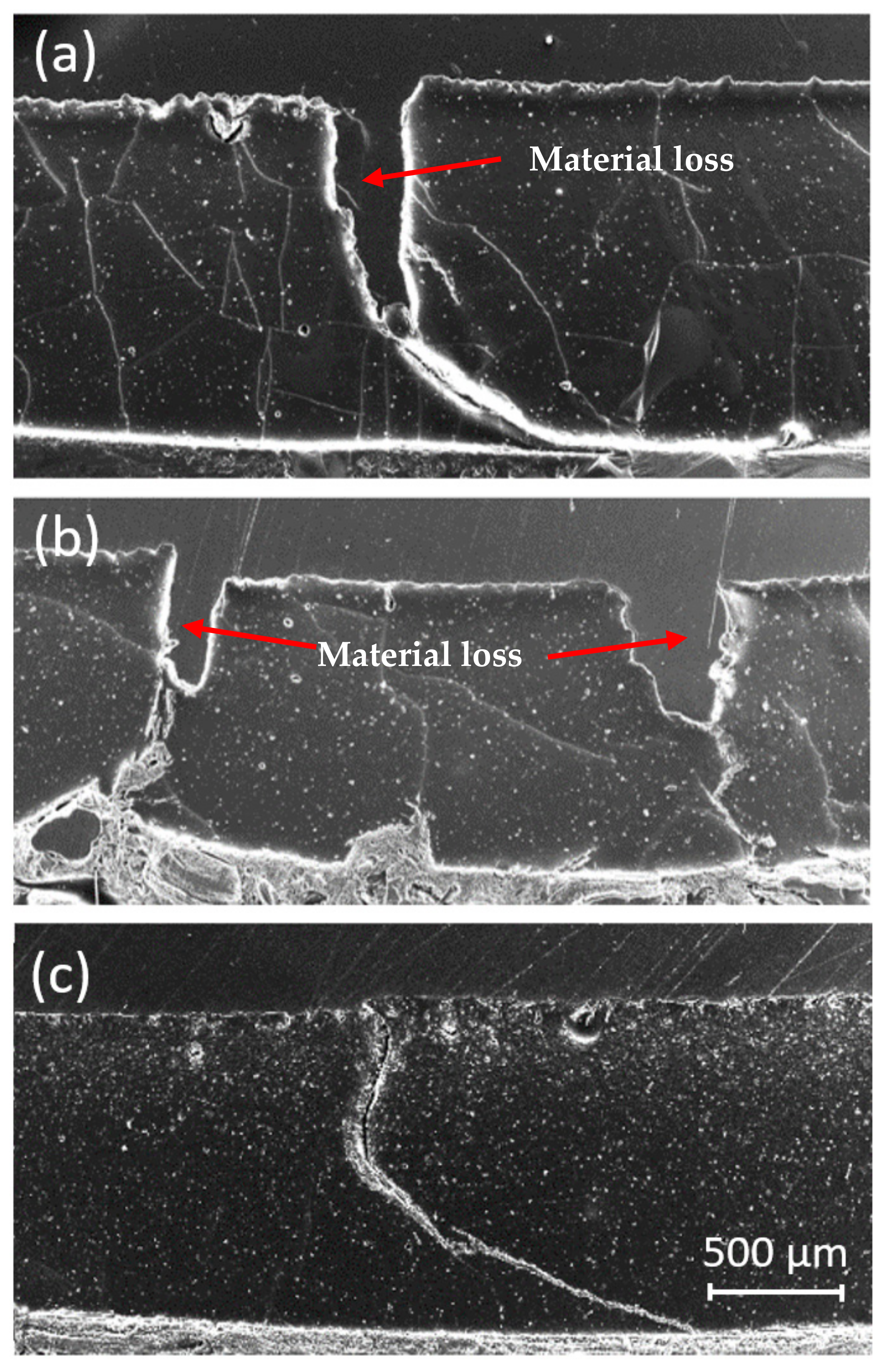 Coatings 11 01104 g012