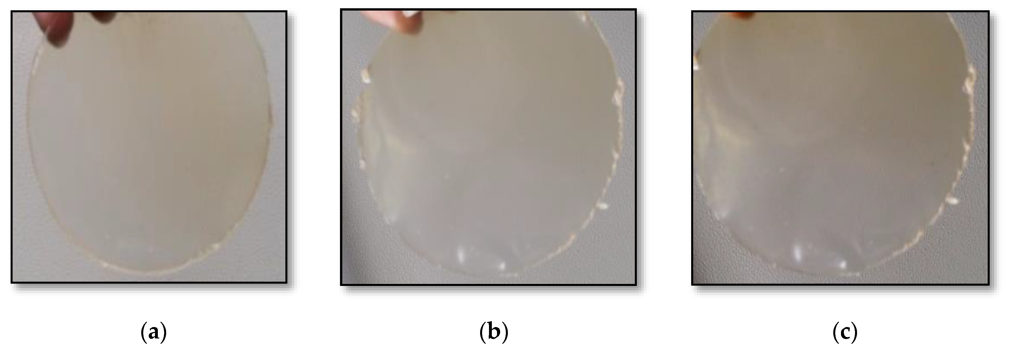 Coatings 11 01106 g002