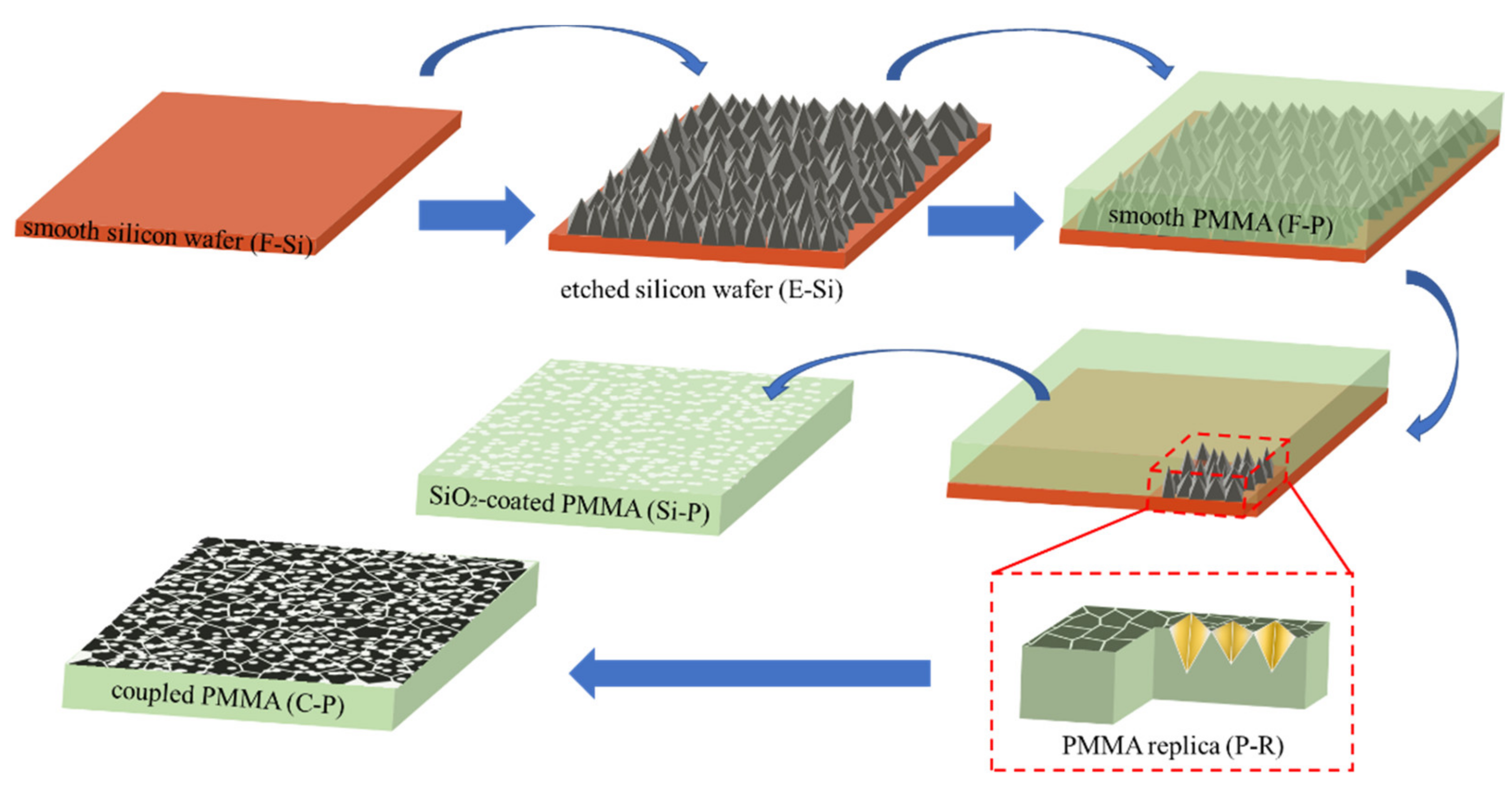 Coatings 11 01107 g002 550