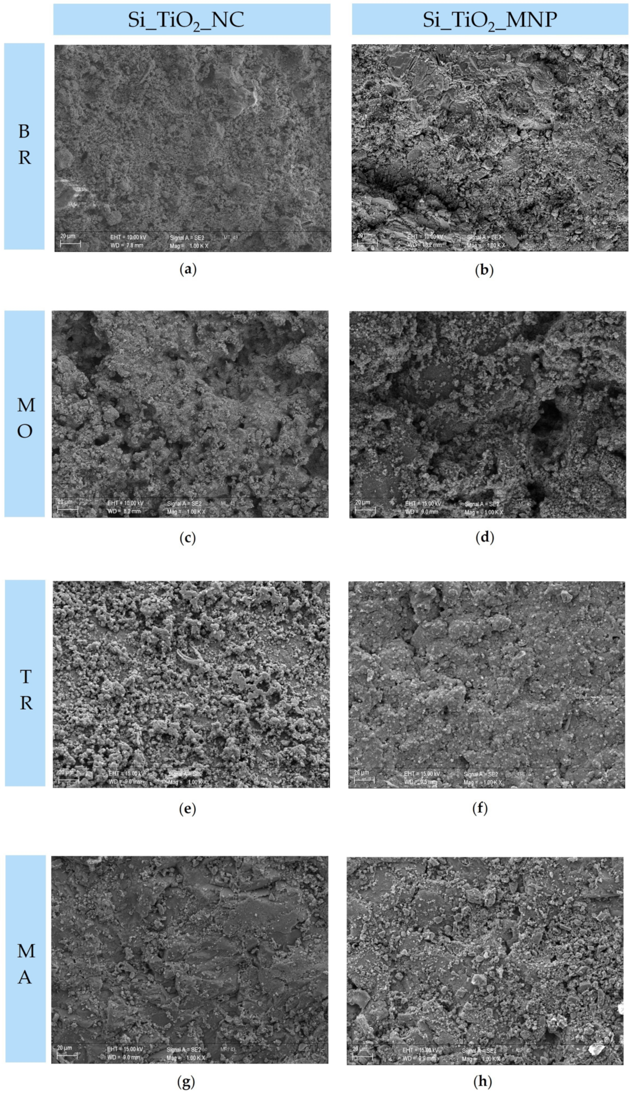 Coatings 11 01109 g005 Coatings 11 01109 g005
