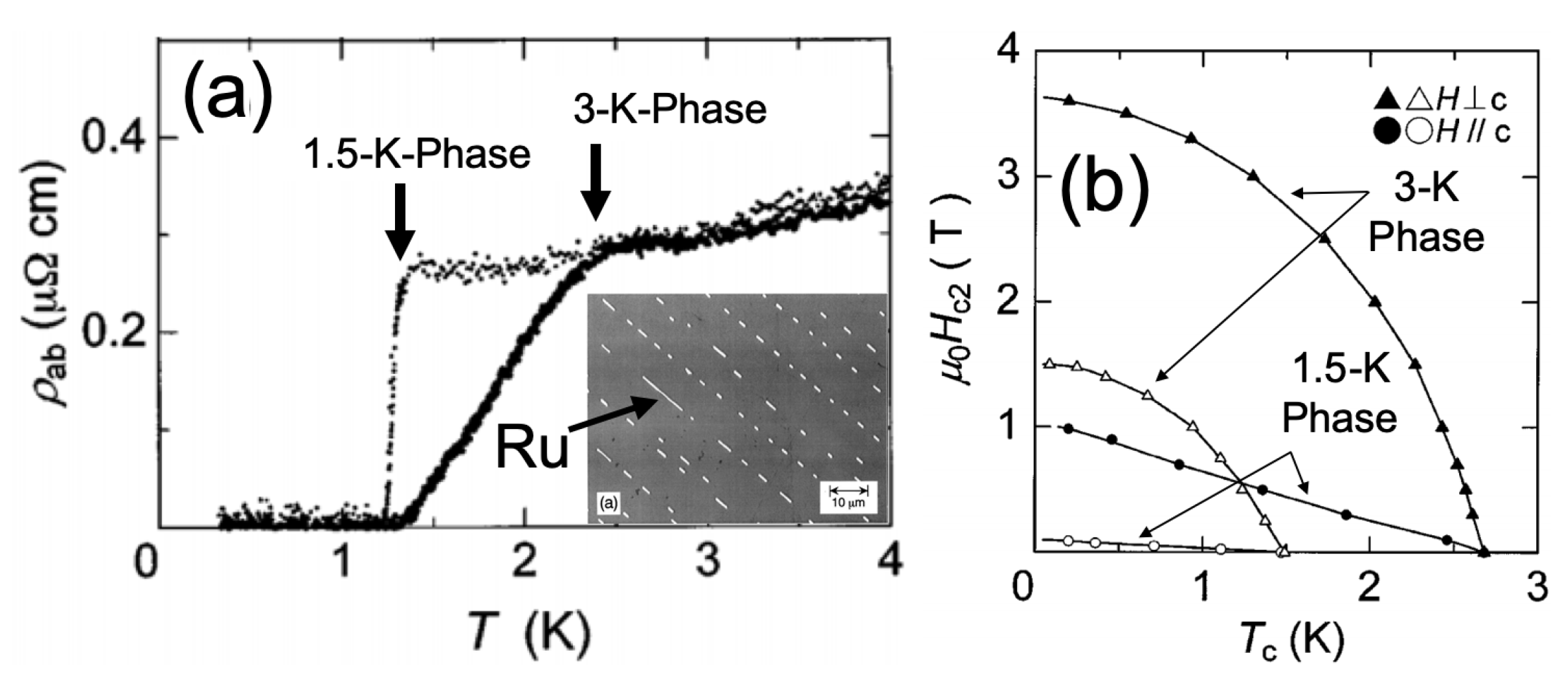 Coatings 11 01110 g001