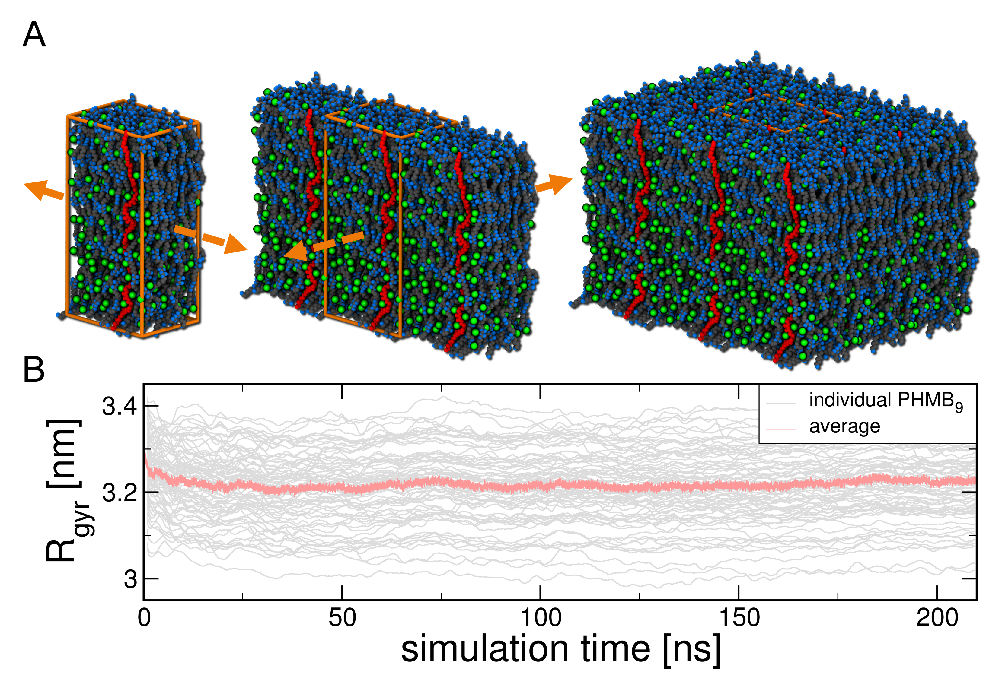 Coatings 11 01118 g002 550
