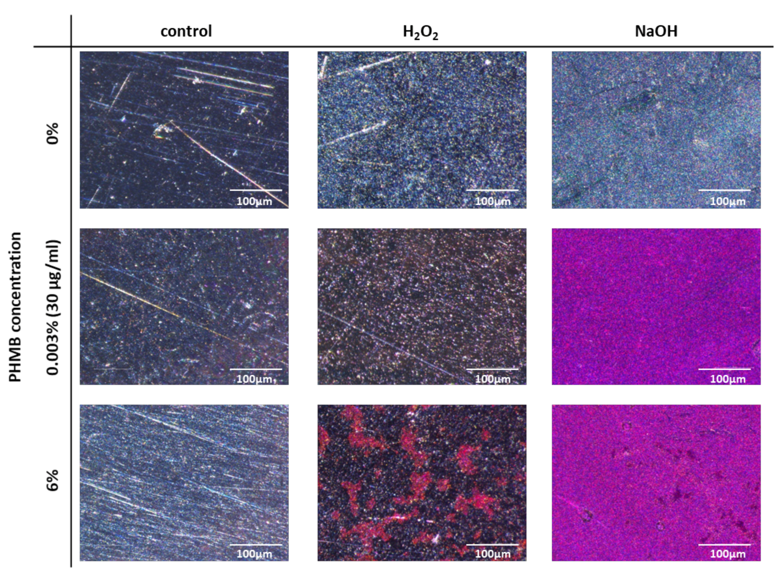 Coatings 11 01118 g007 550