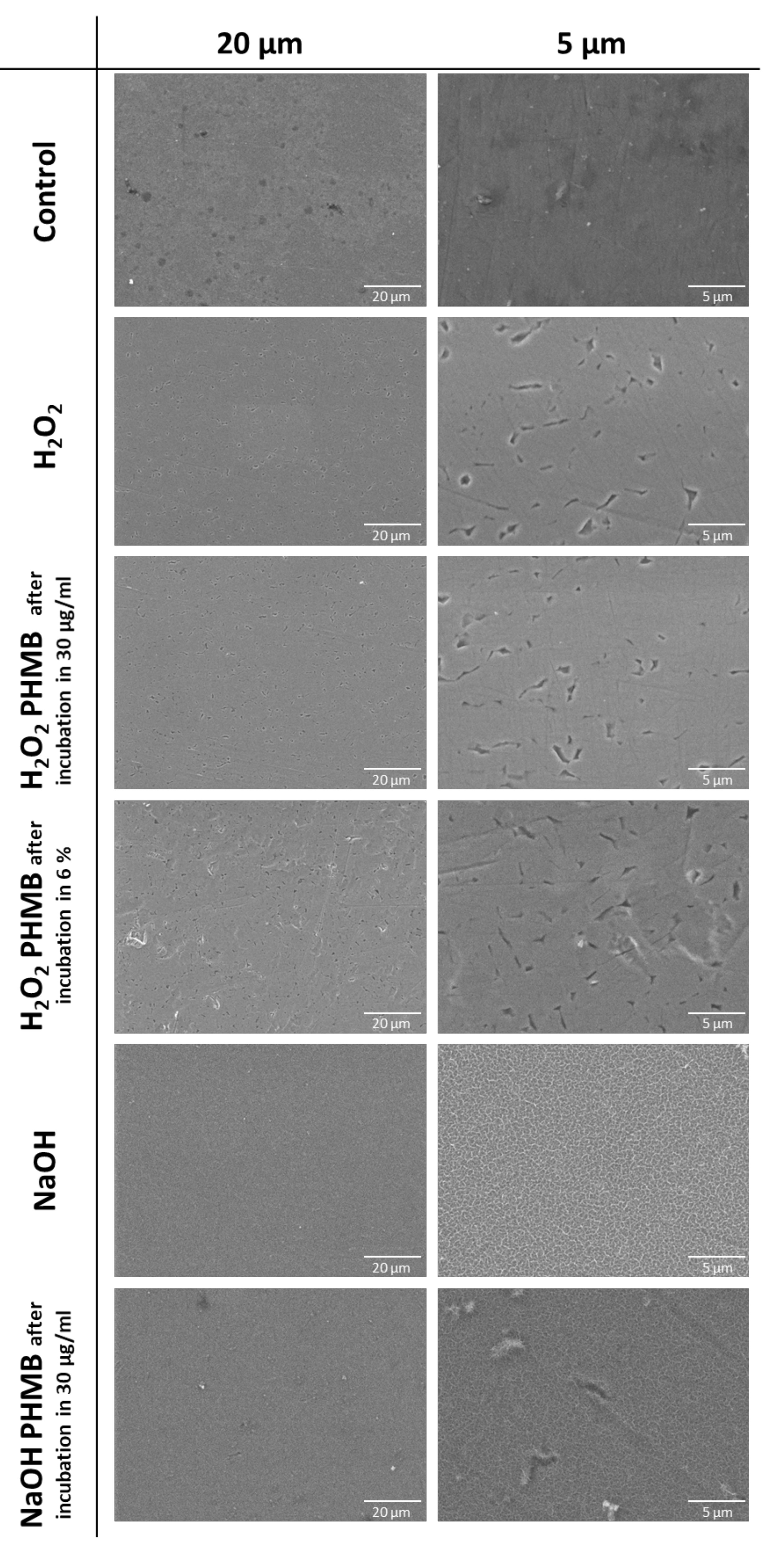 Coatings 11 01118 g008 550