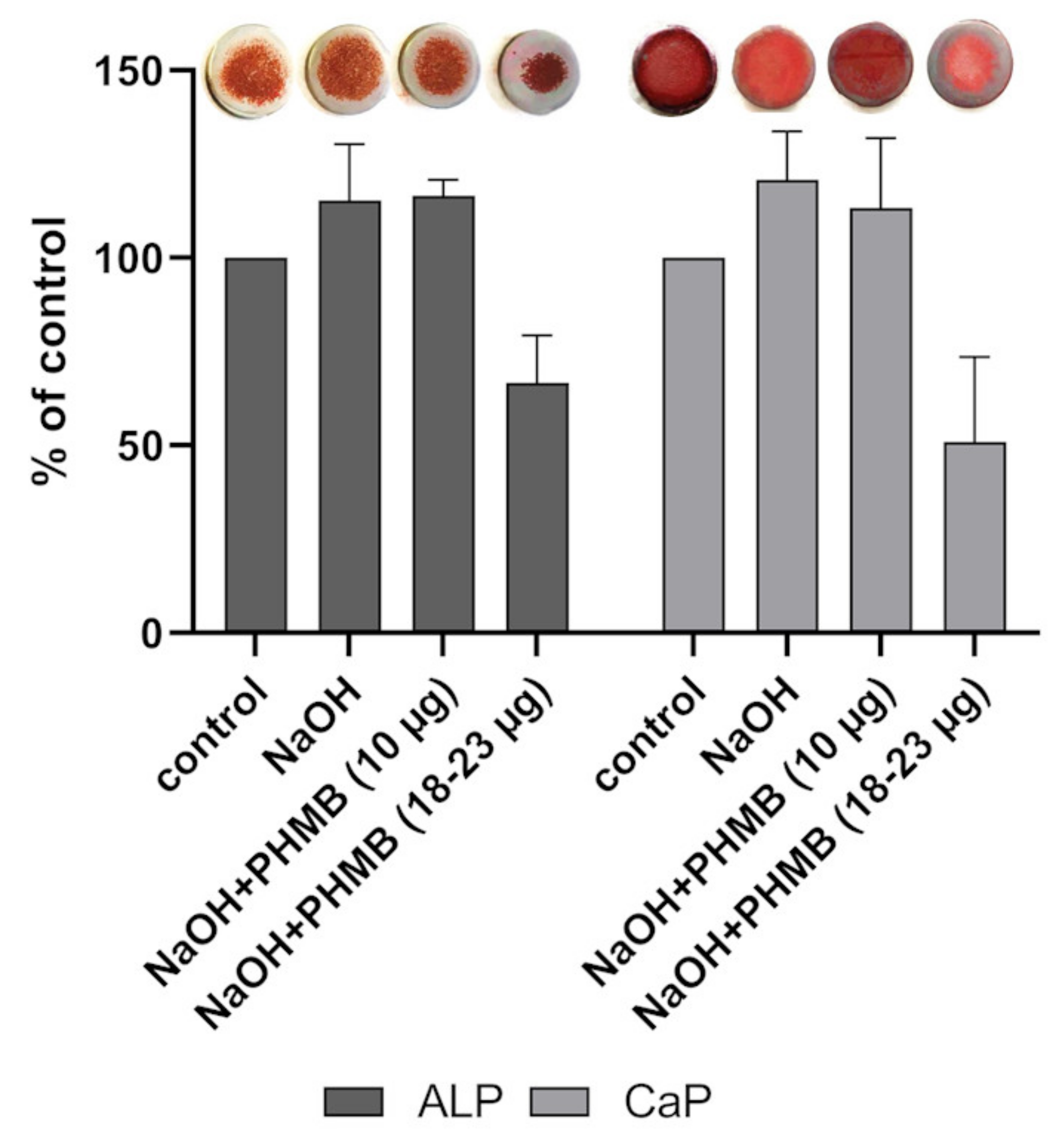 Coatings 11 01118 g009 550