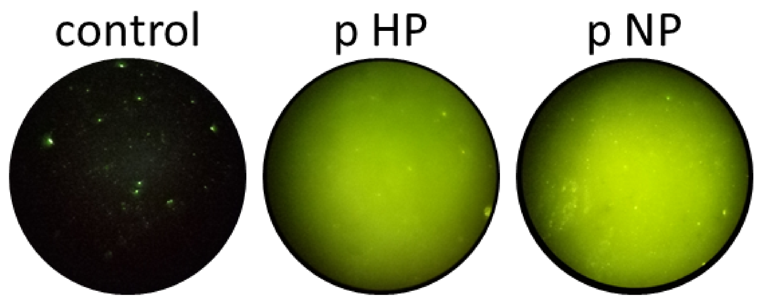Coatings 11 01118 g0a3 550