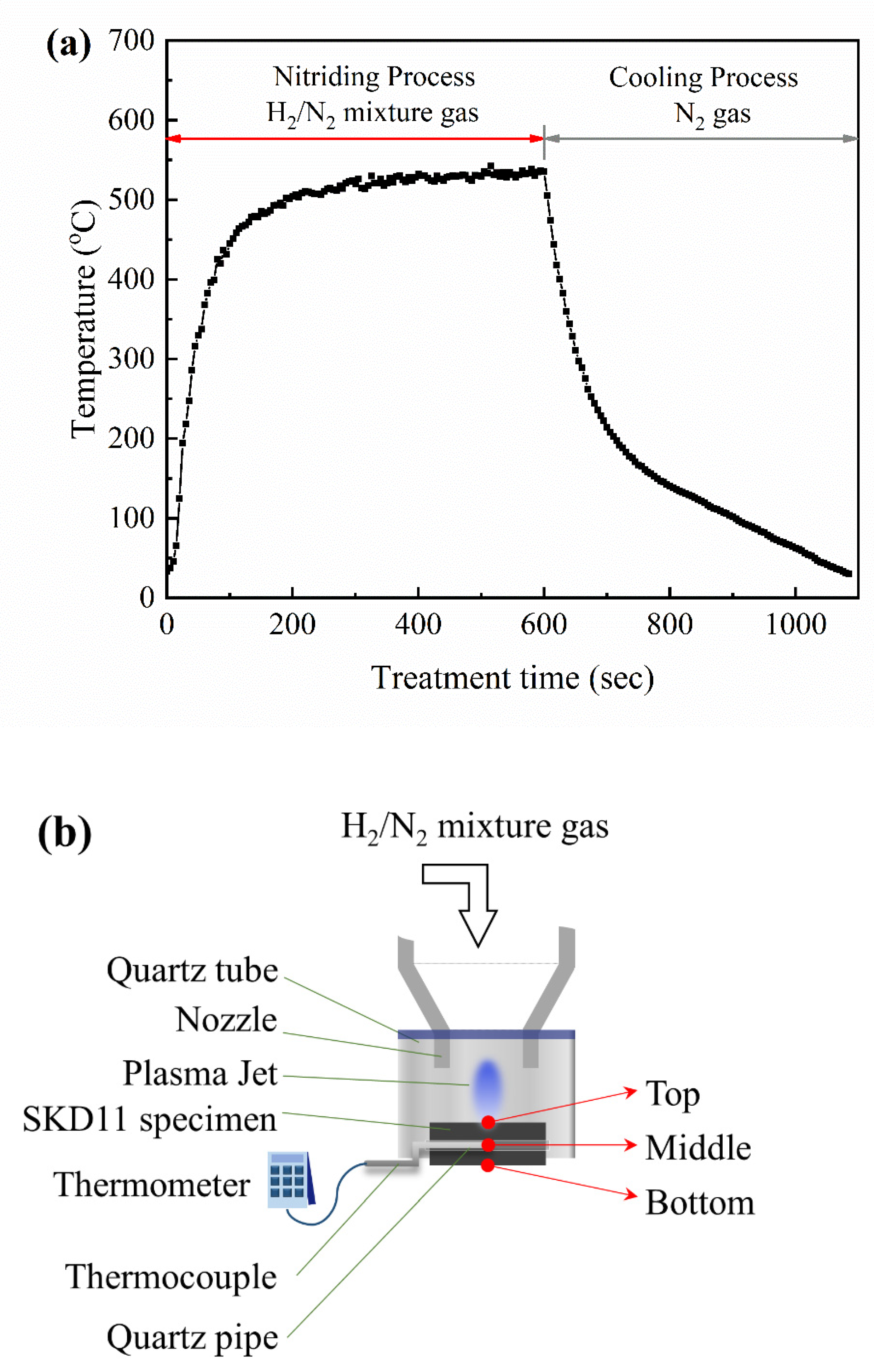 Coatings 11 01119 g002 Coatings 11 01119 g002