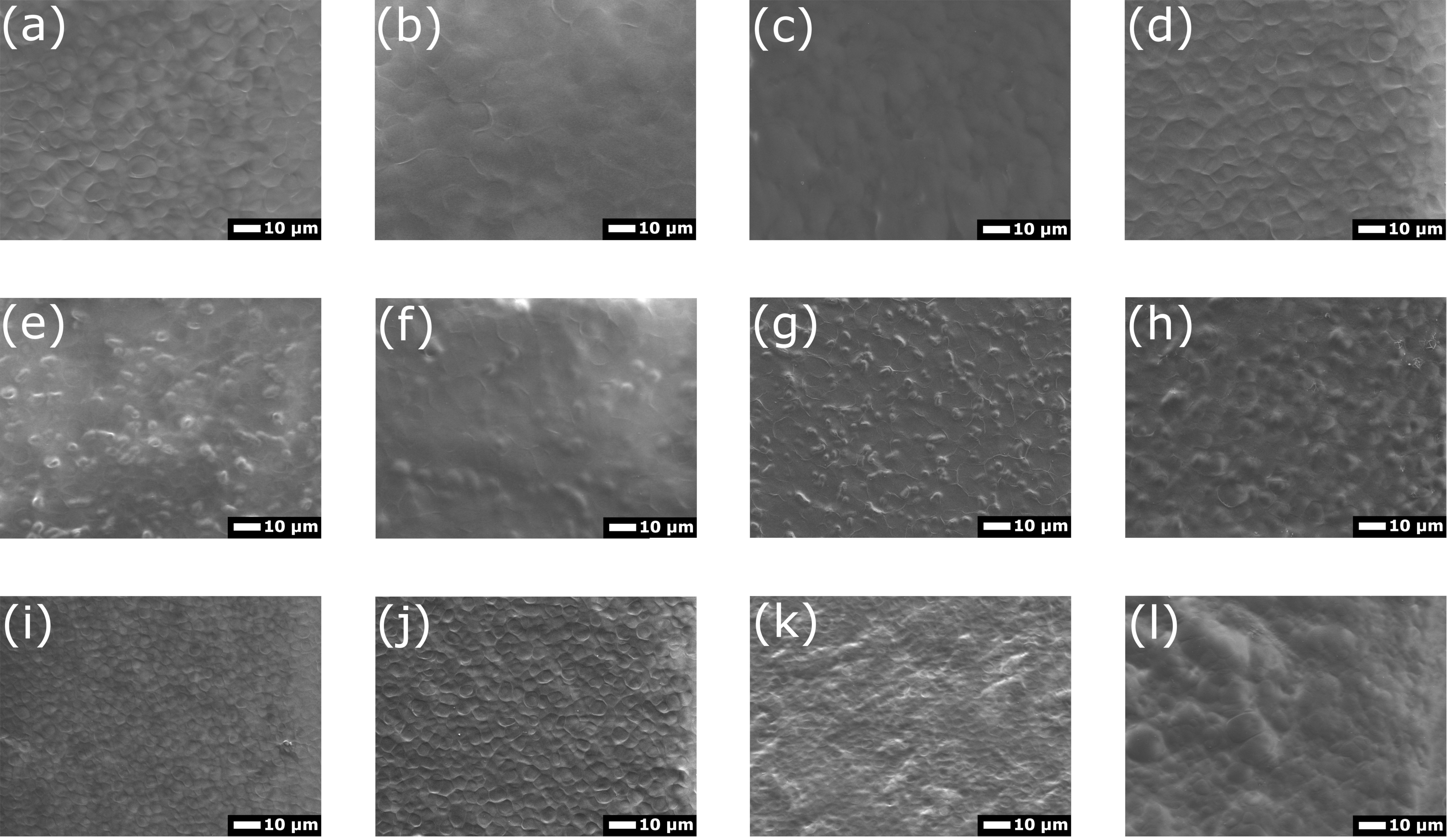 Coatings 11 01120 g003