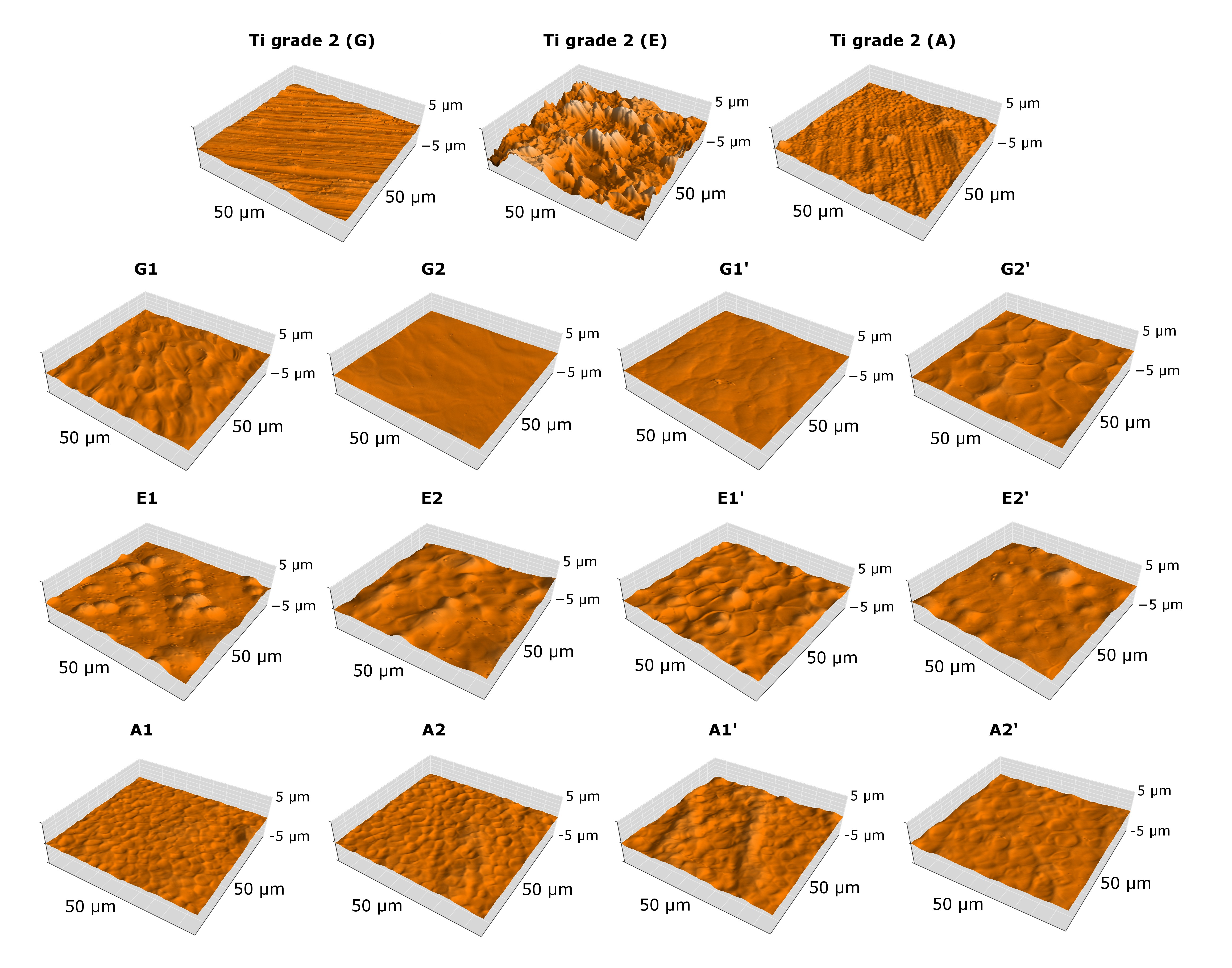 Coatings 11 01120 g004