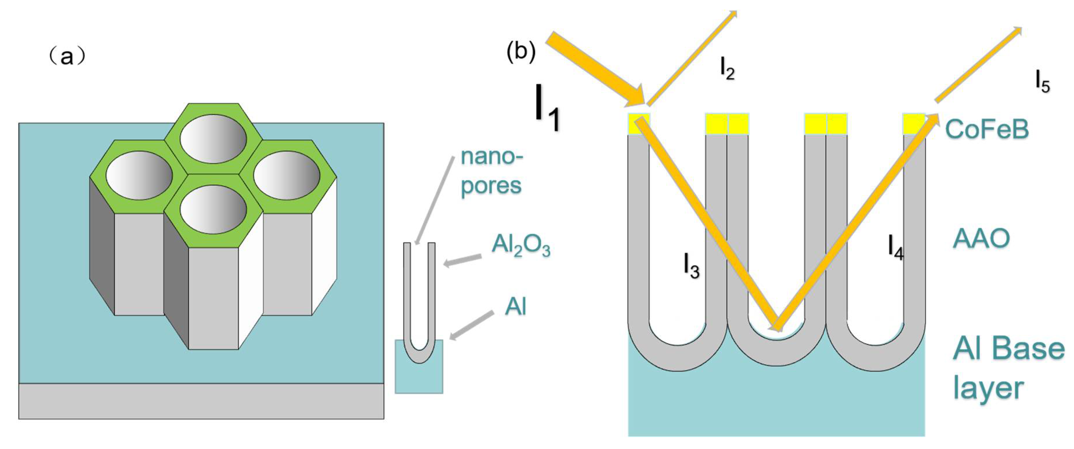 Coatings 11 01123 g001 550