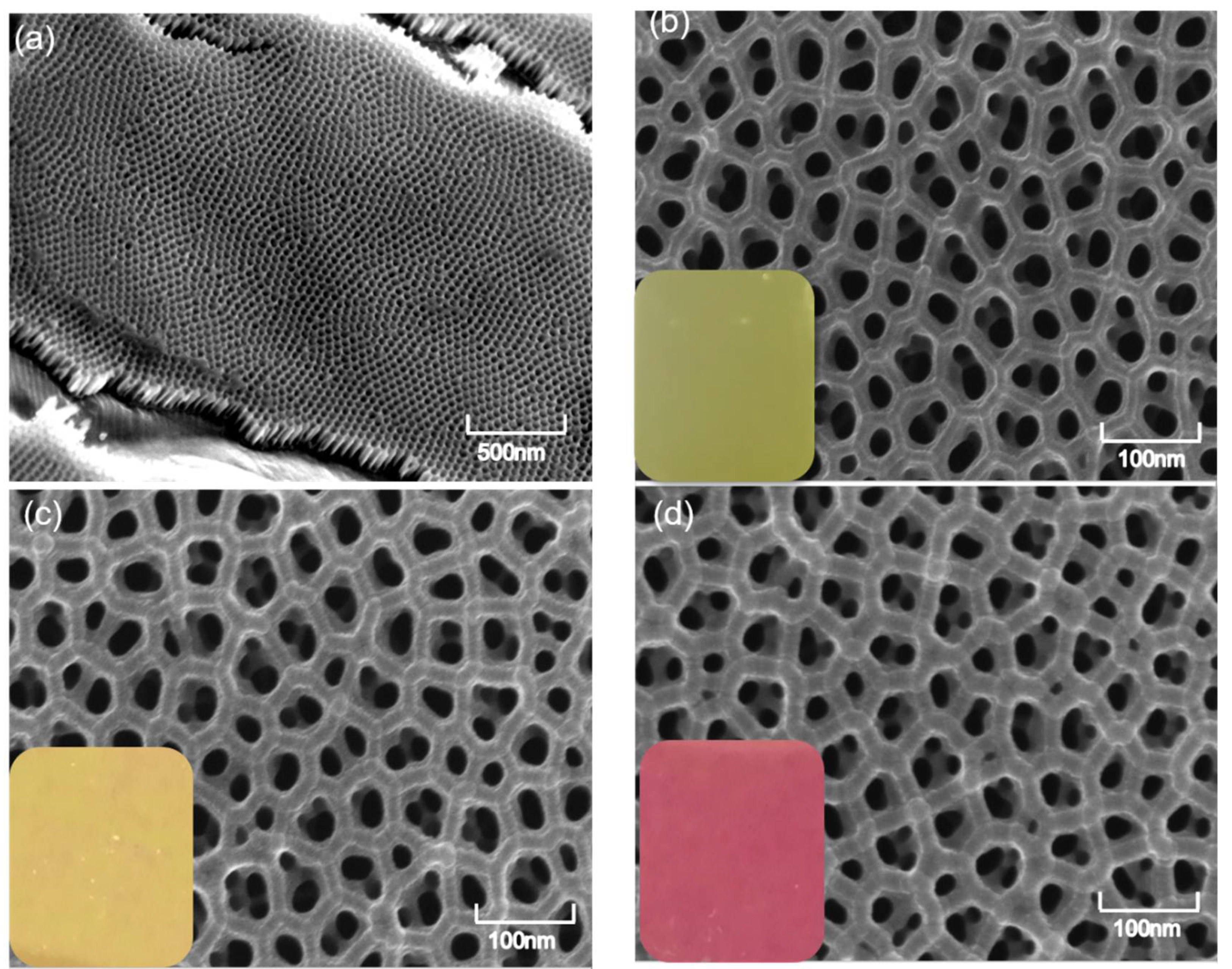 Coatings 11 01123 g002 550
