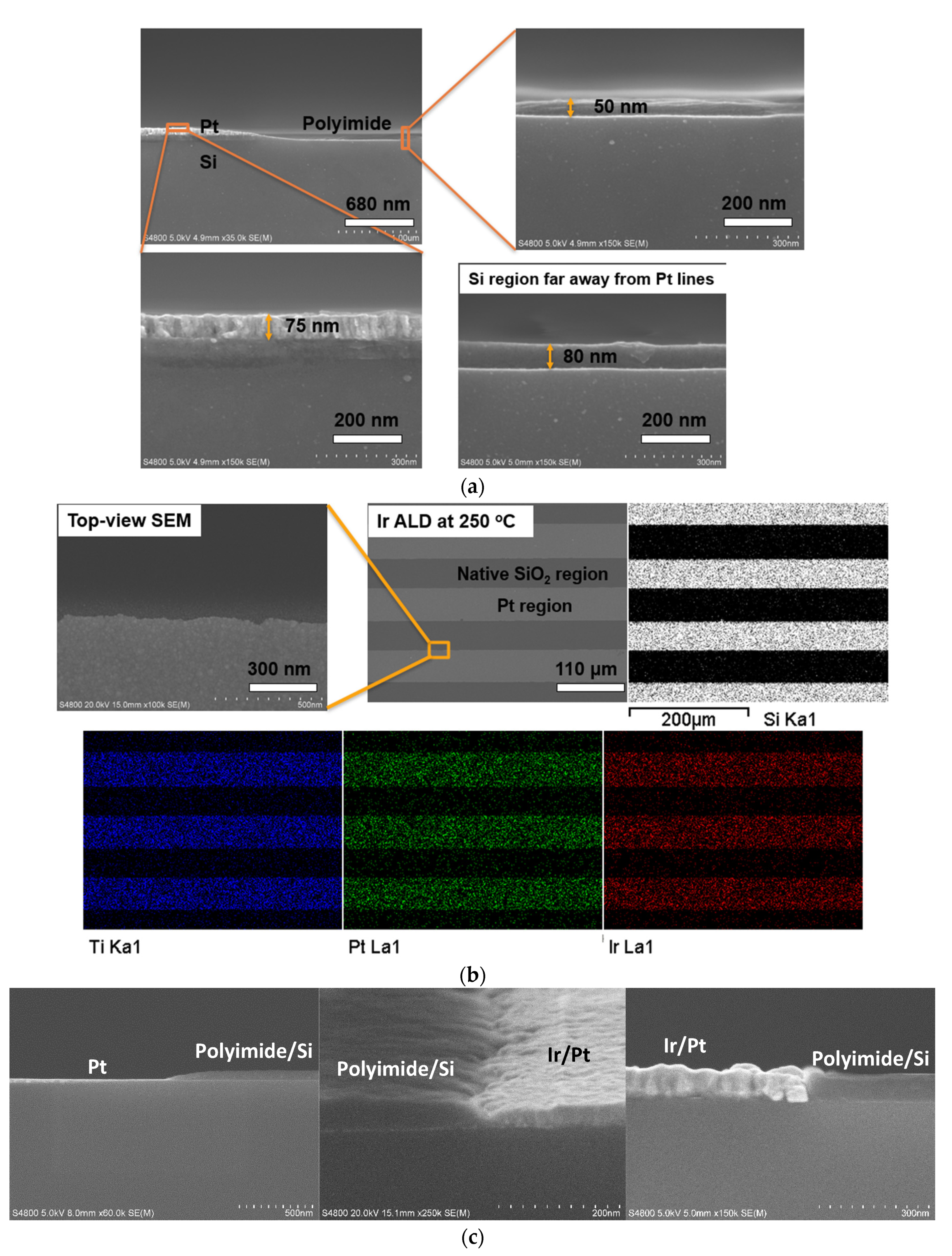 Area-Selective Etching of Poly(methyl methacrylate) Films by