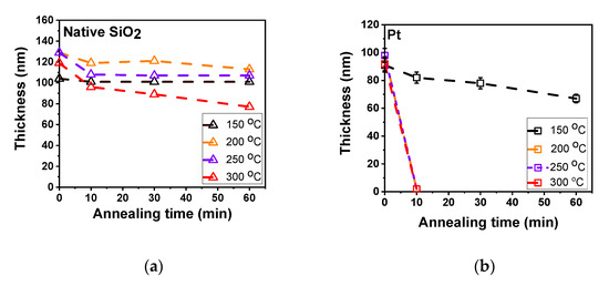 Area-Selective Etching of Poly(methyl methacrylate) Films by