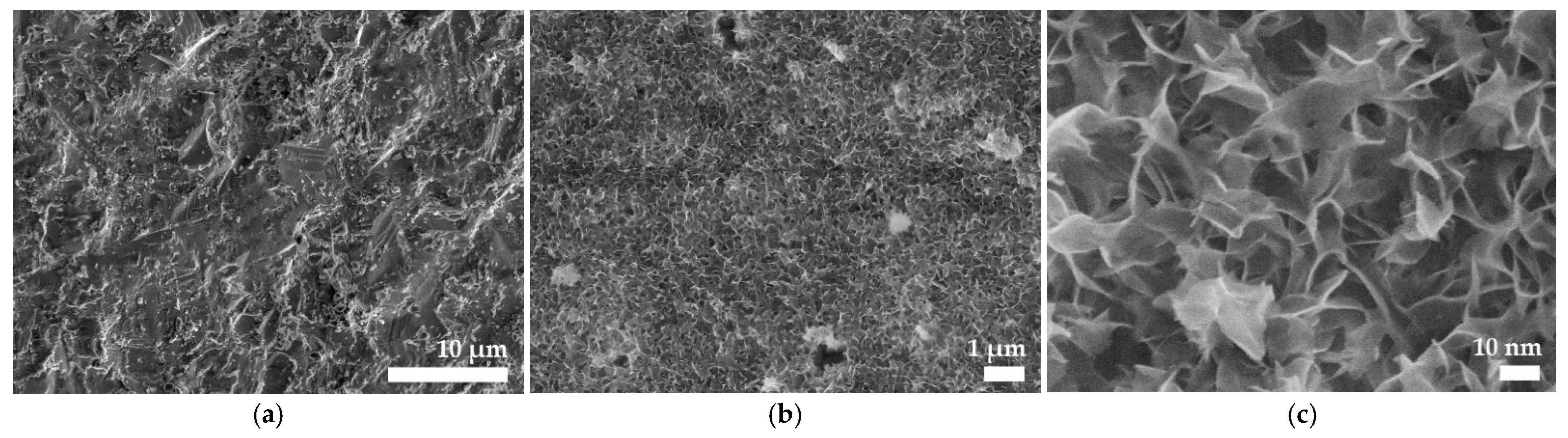 Coatings 11 01126 g002