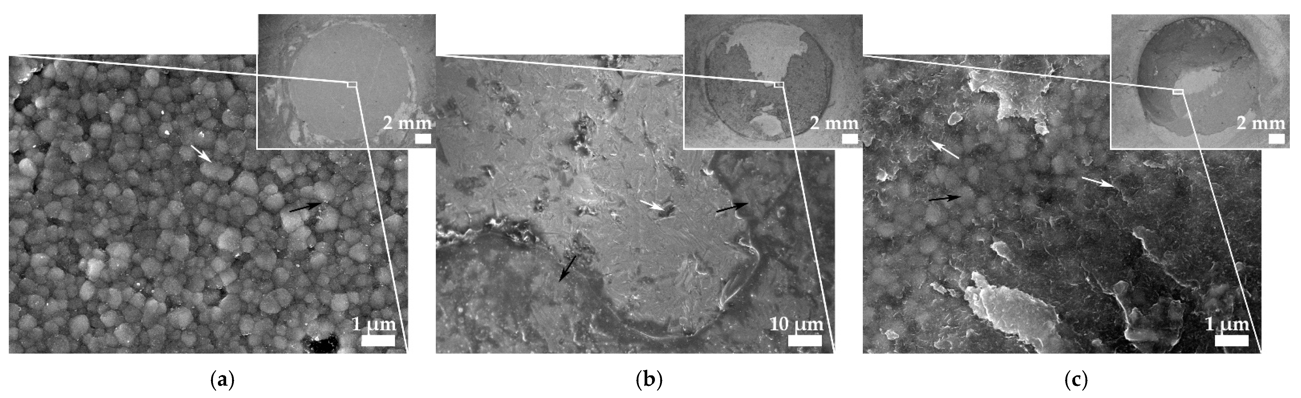 Coatings 11 01126 g004