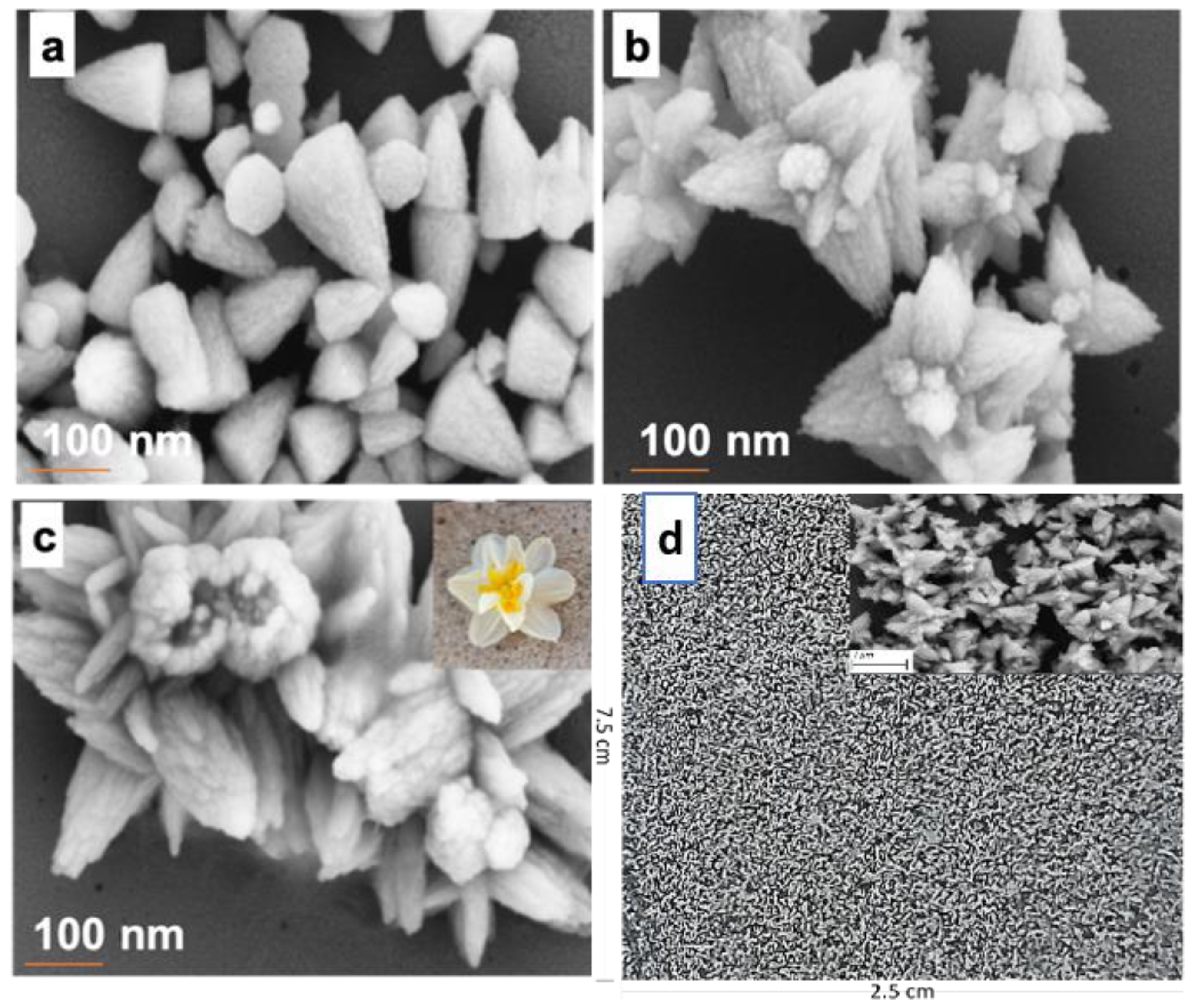 Coatings 11 01131 g003