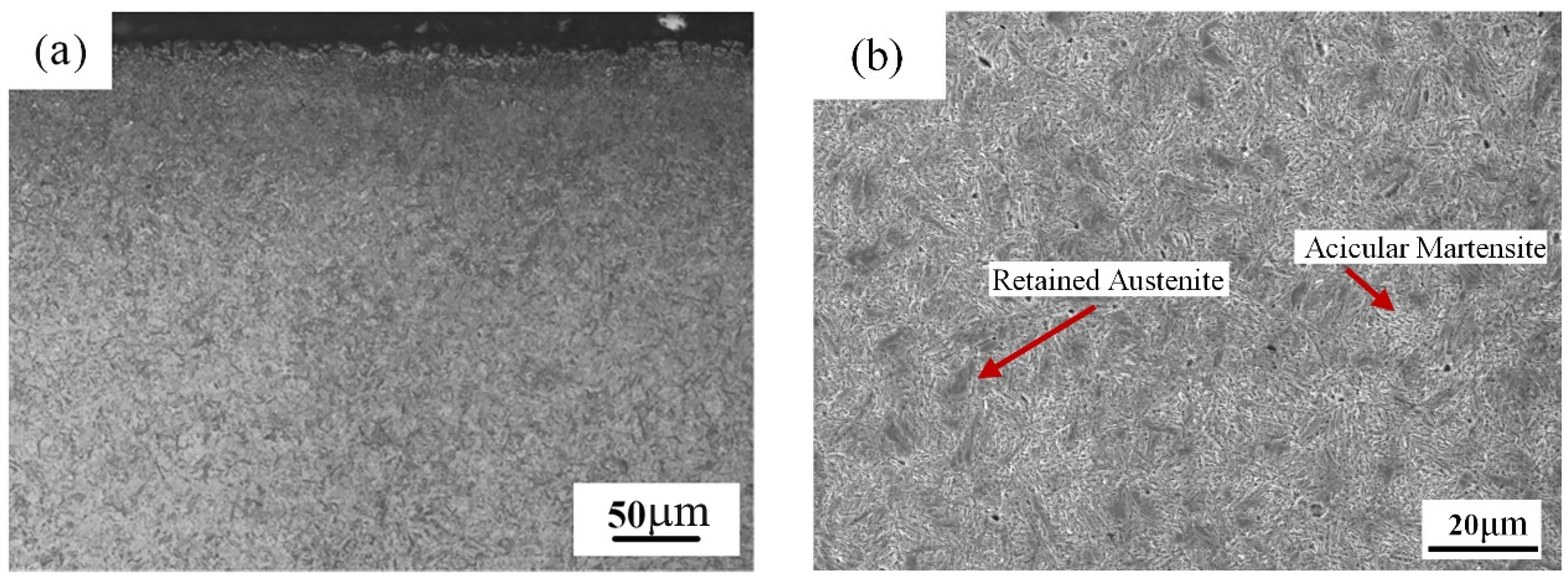 Coatings 11 01132 g008a