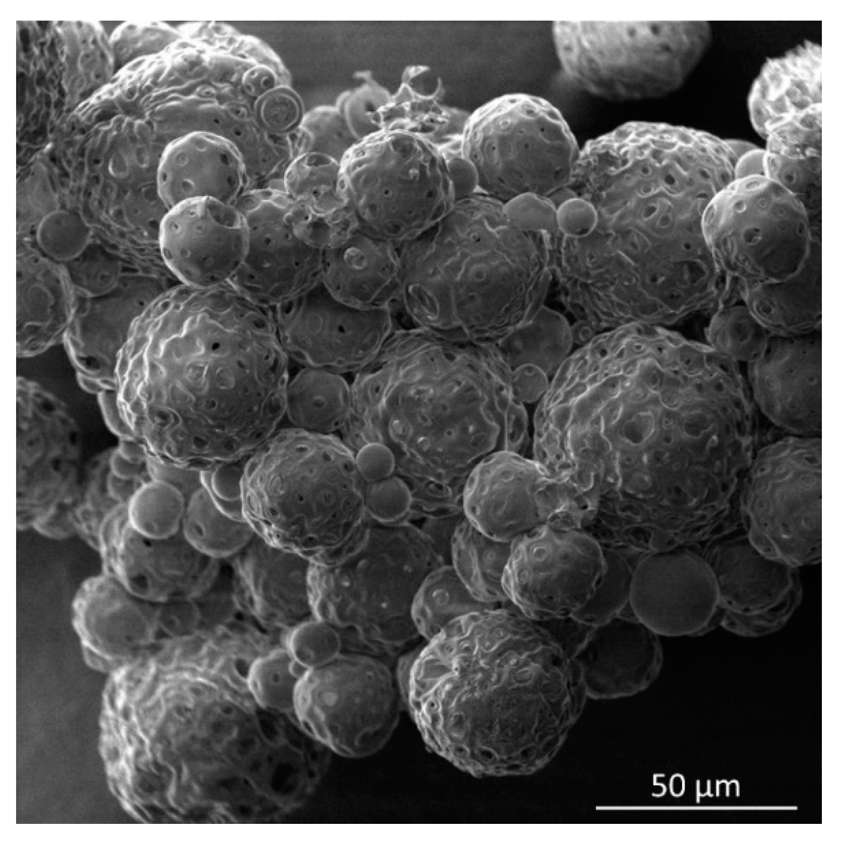 Coatings 11 01134 g001