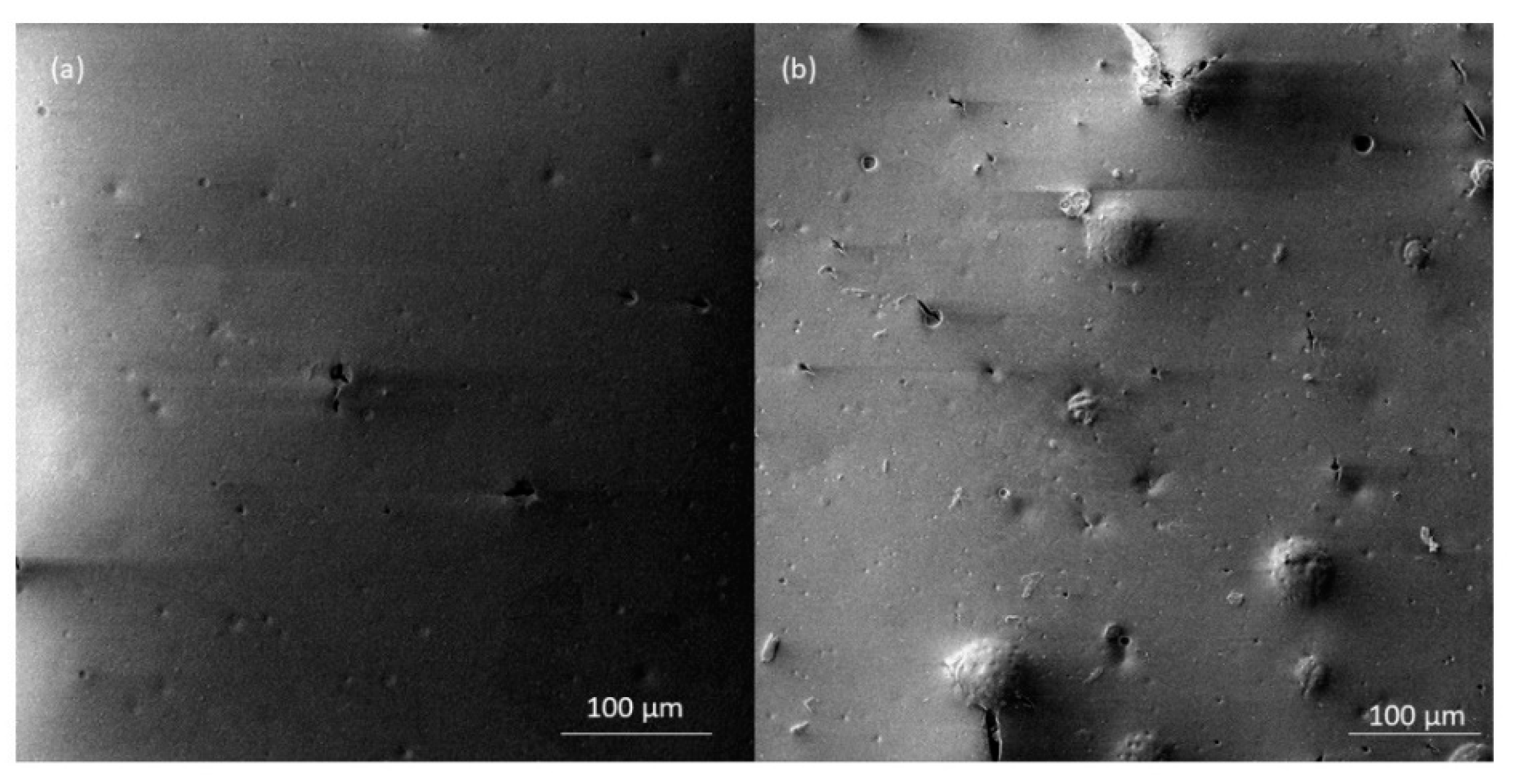 Coatings 11 01134 g002