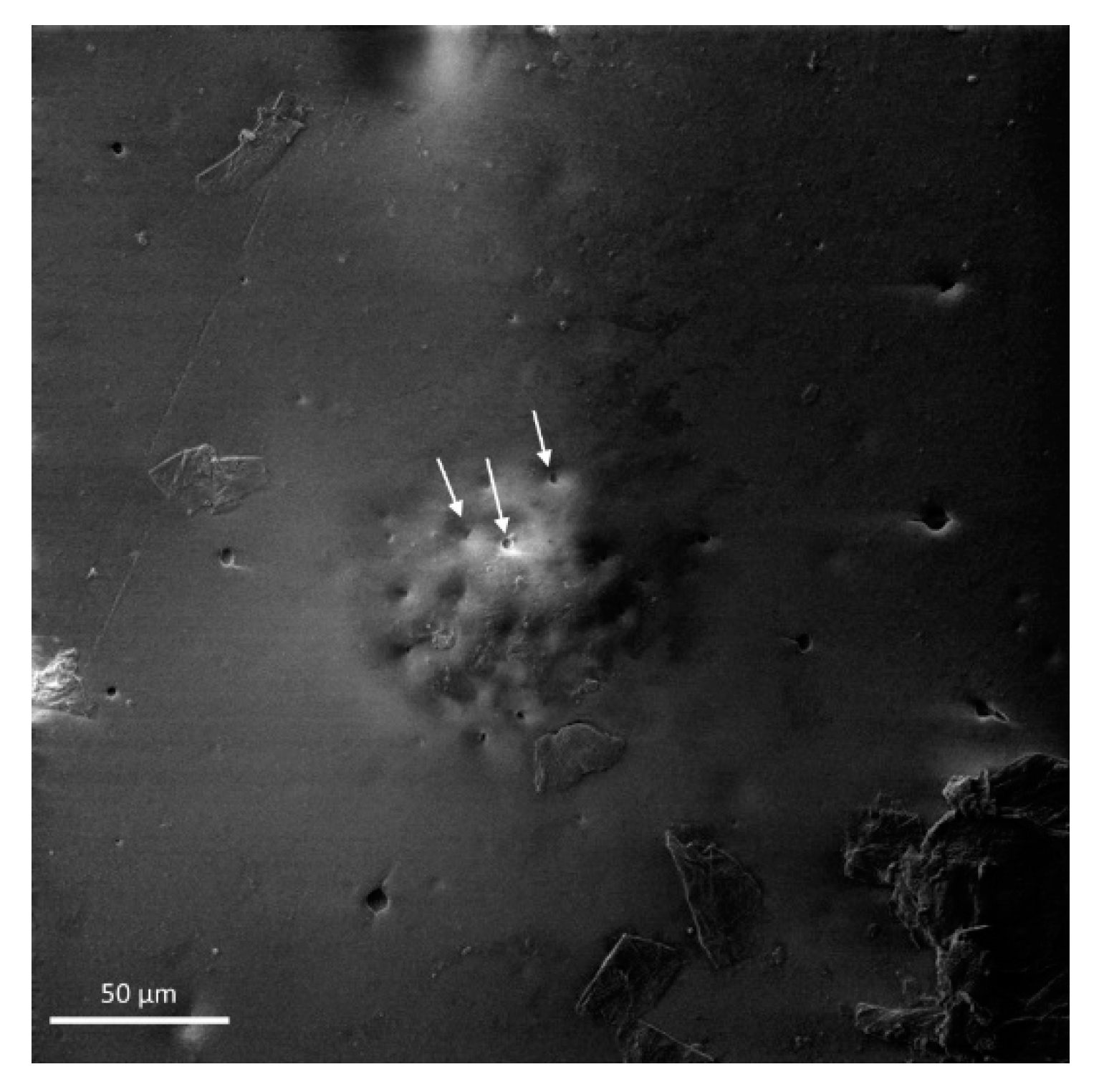 Coatings 11 01134 g009