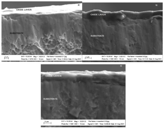 F PIX PowerWare Pulleys & Couplings | PDF | Belt (Mechanical