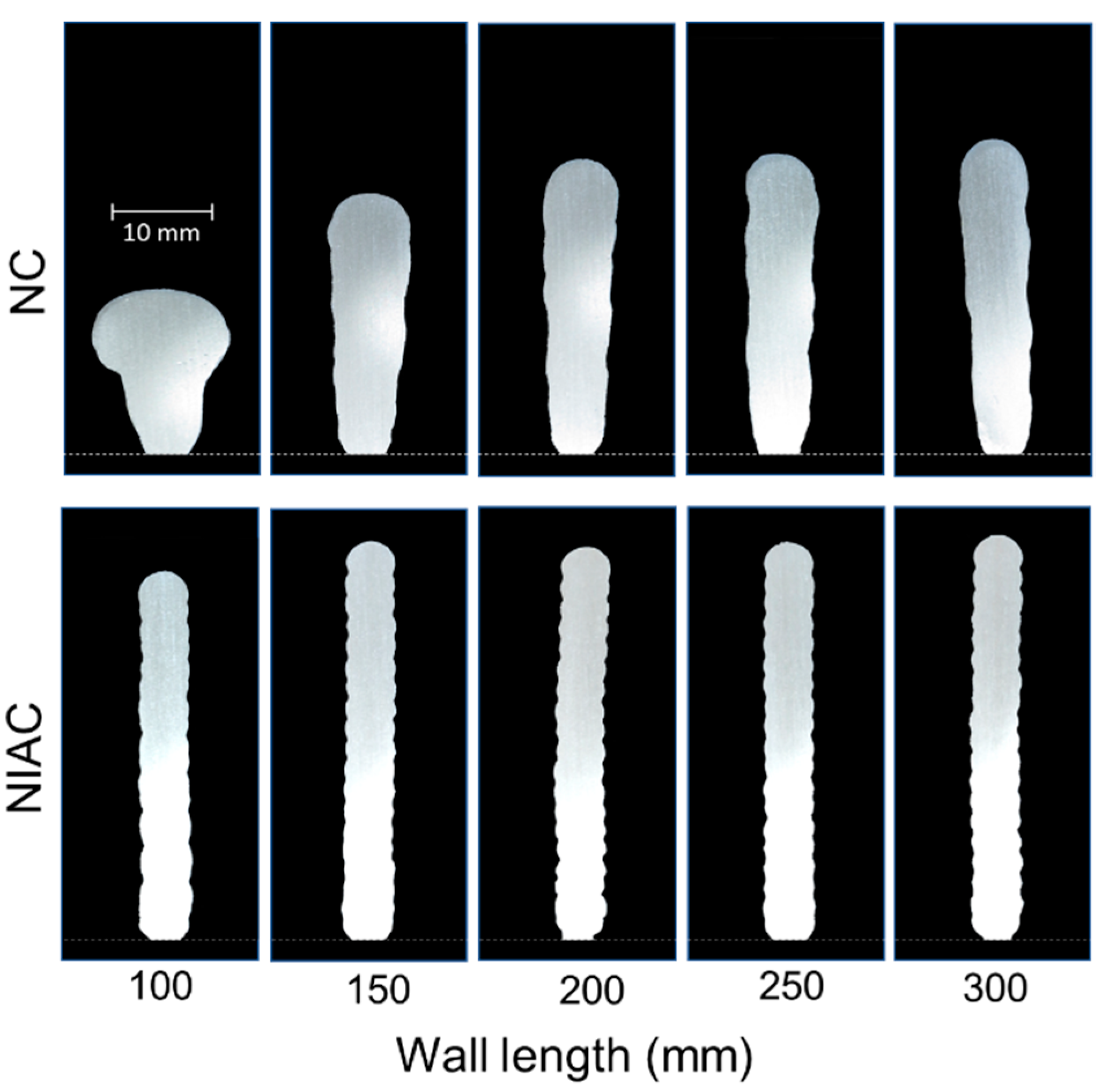 Coatings 11 01141 g012