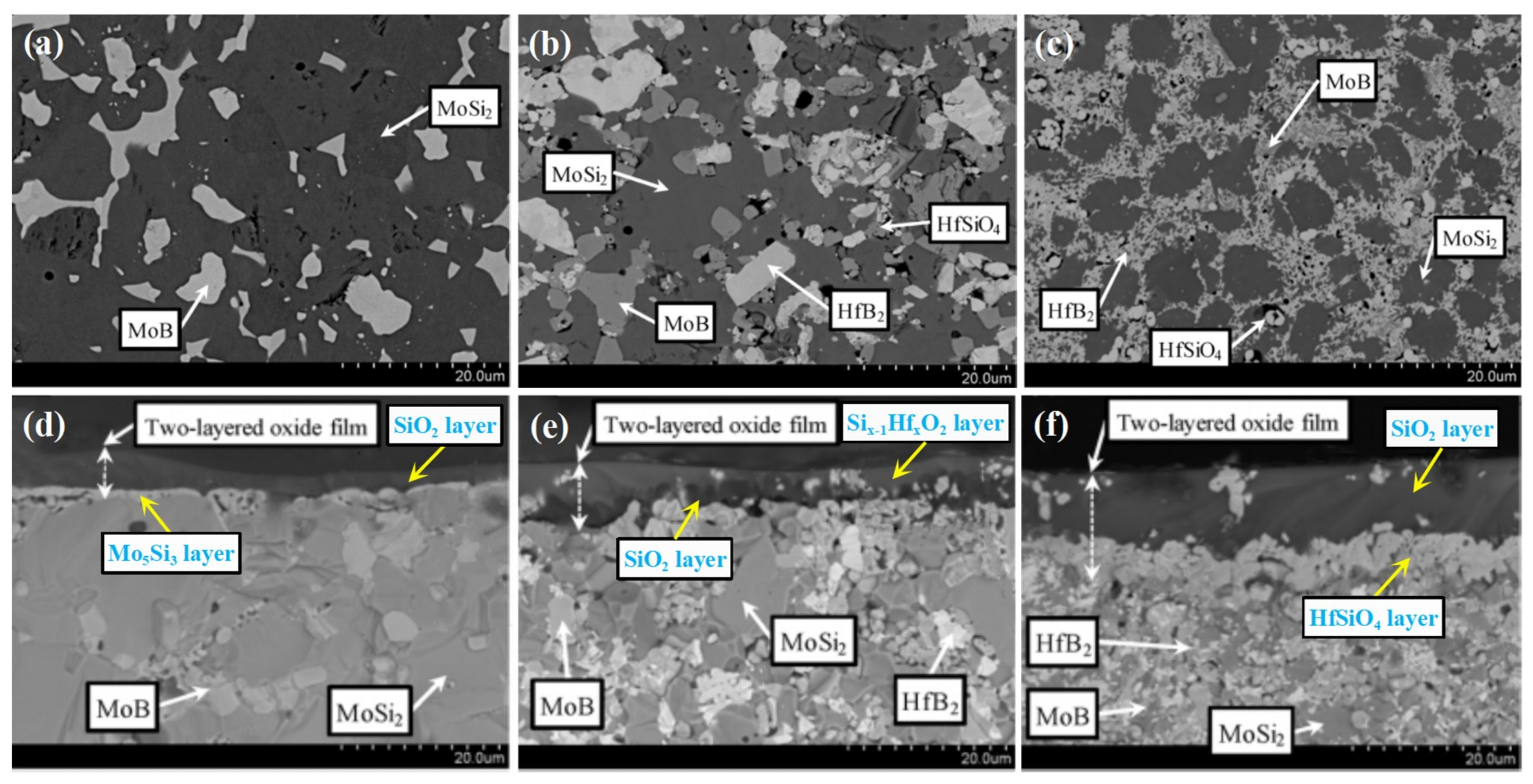 Coatings 11 01144 g003 550