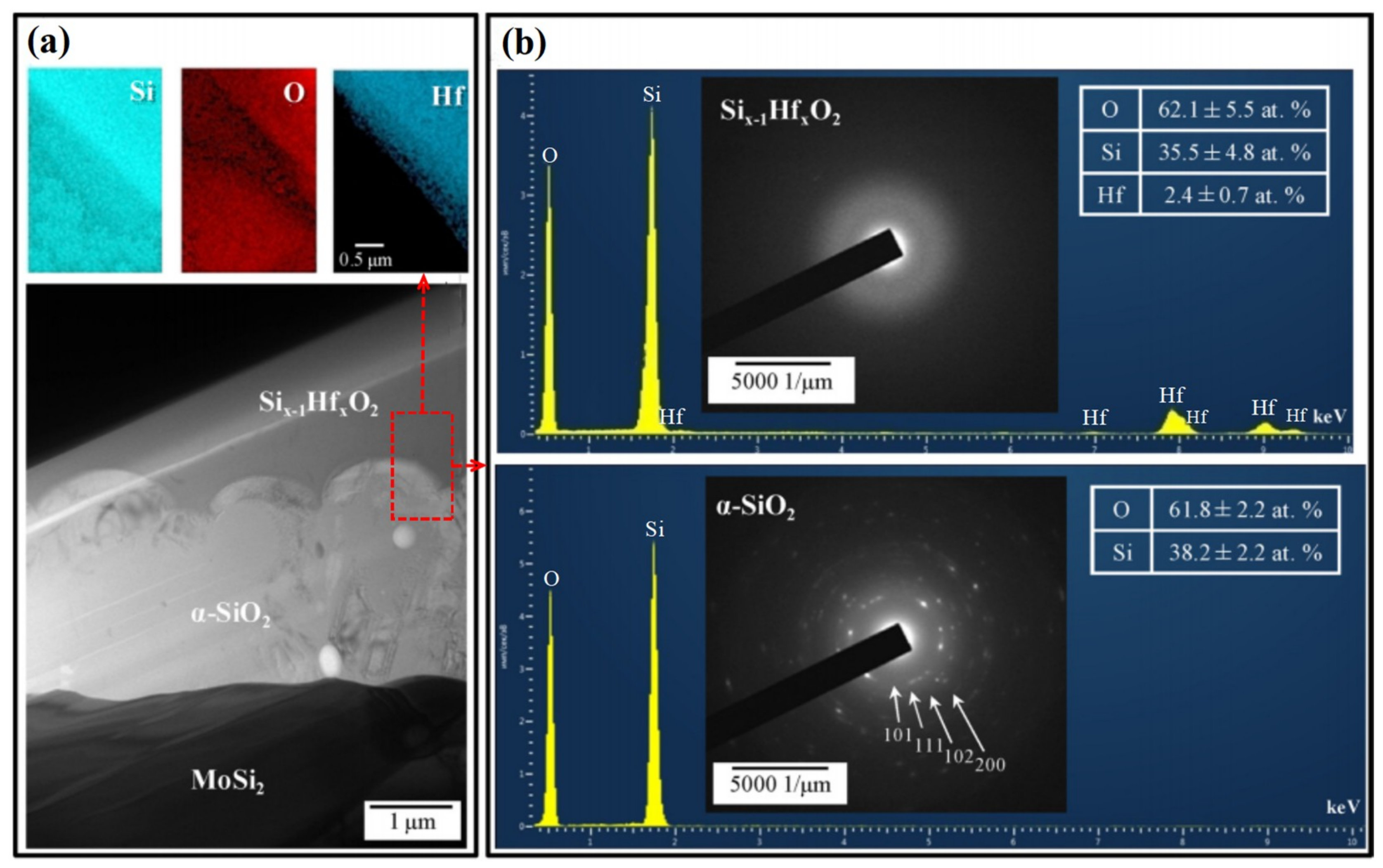 Coatings 11 01144 g005 550