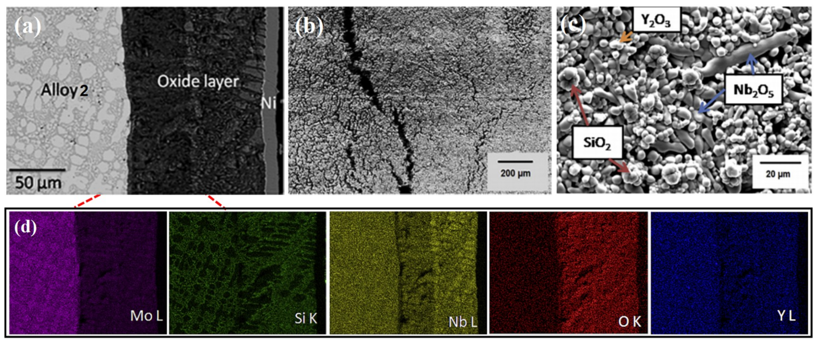Coatings 11 01144 g015 550