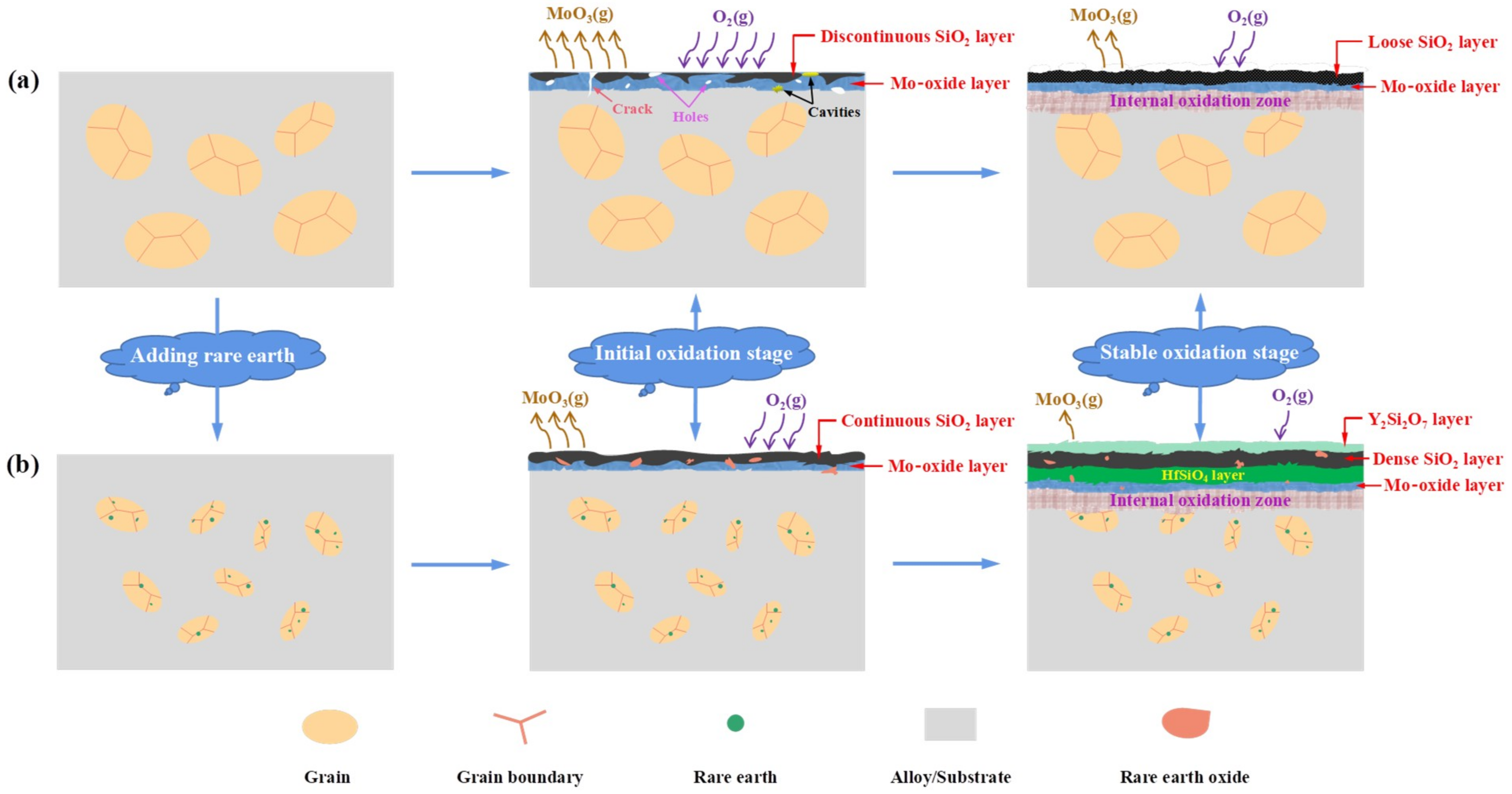 Coatings 11 01144 g016 550