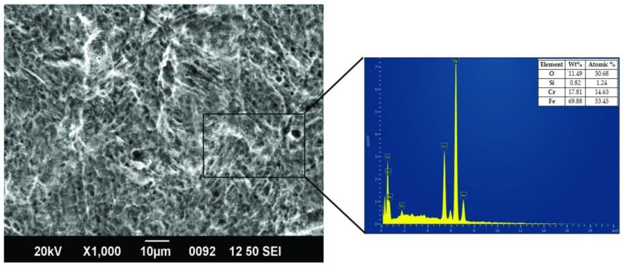 Coatings 11 01145 g006