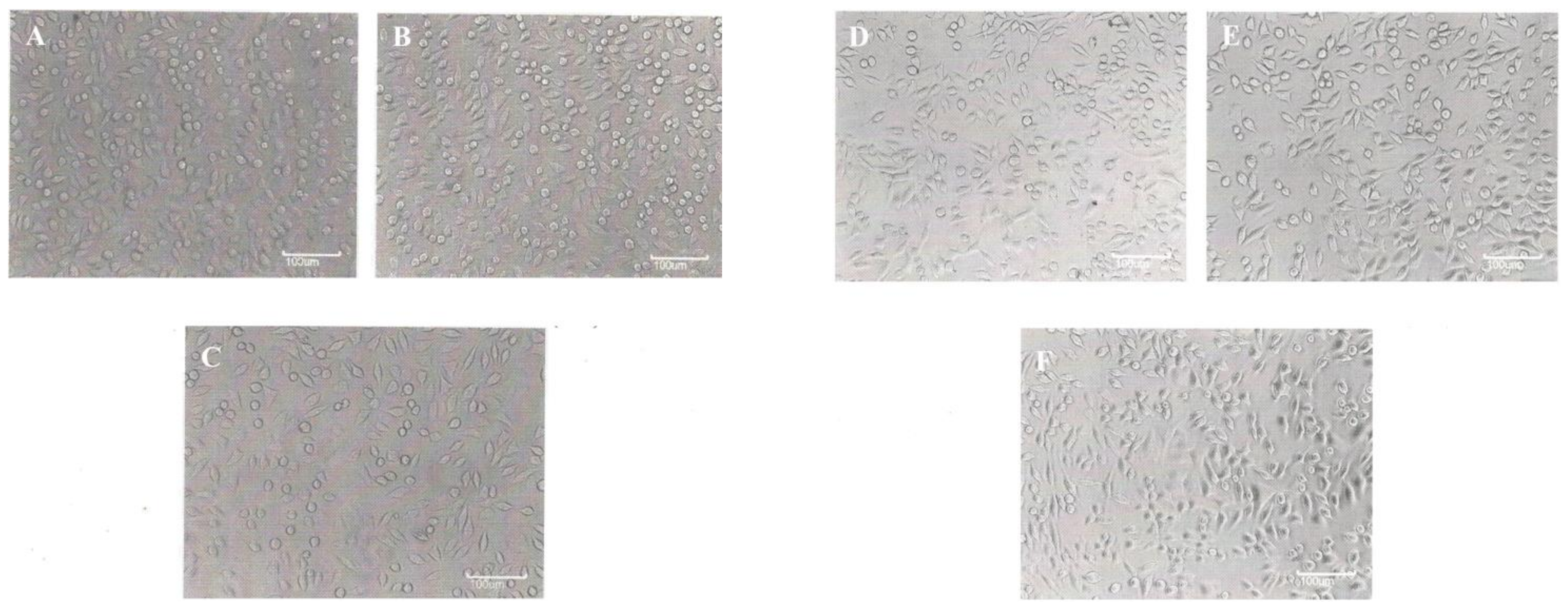 Coatings 11 01145 g007