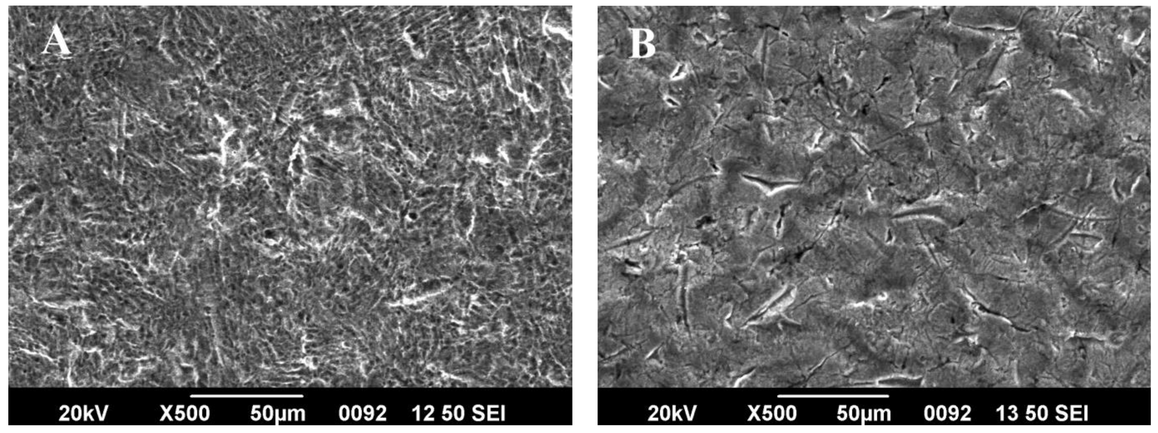 Coatings 11 01145 g009
