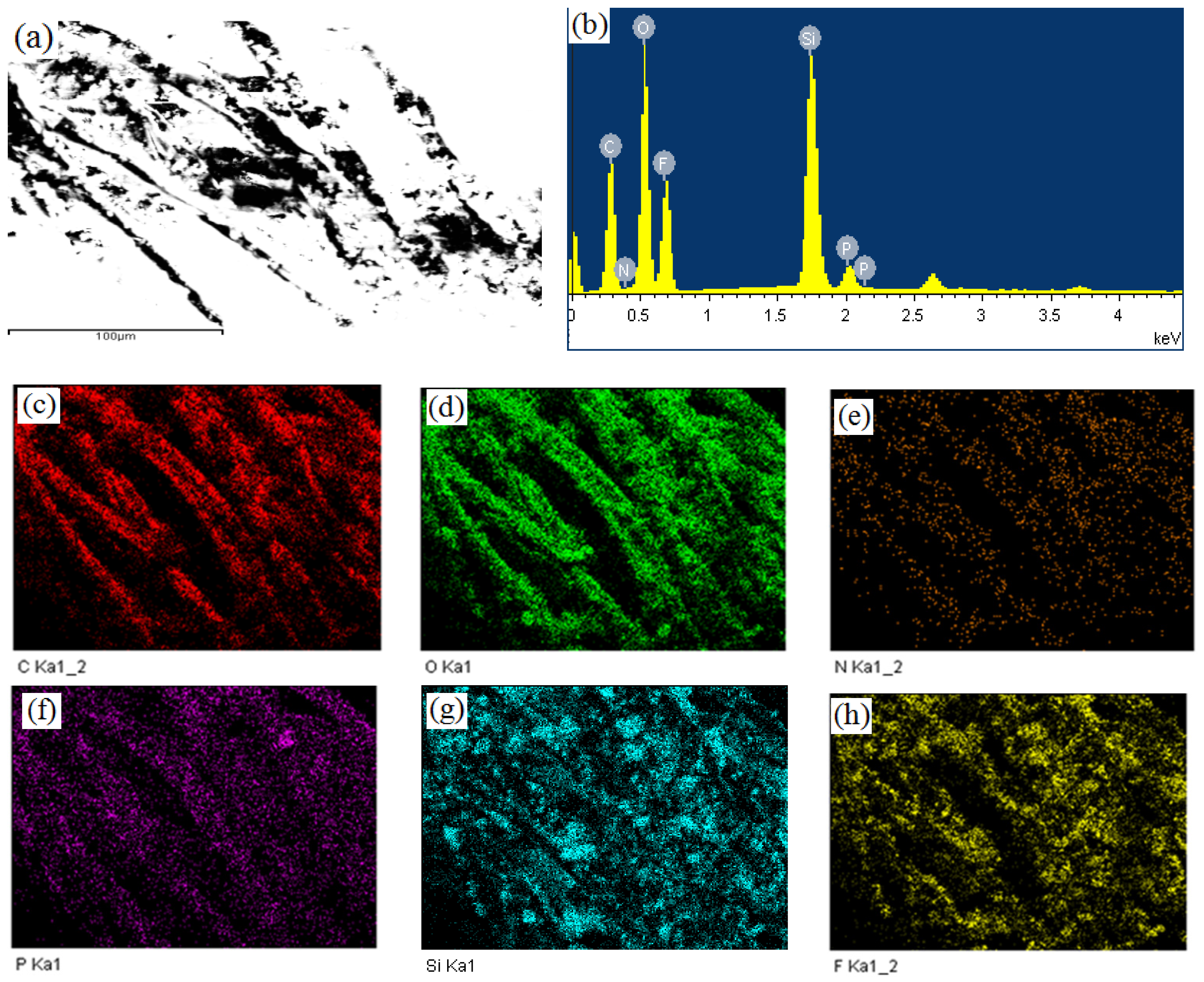 Coatings 11 01147 g005