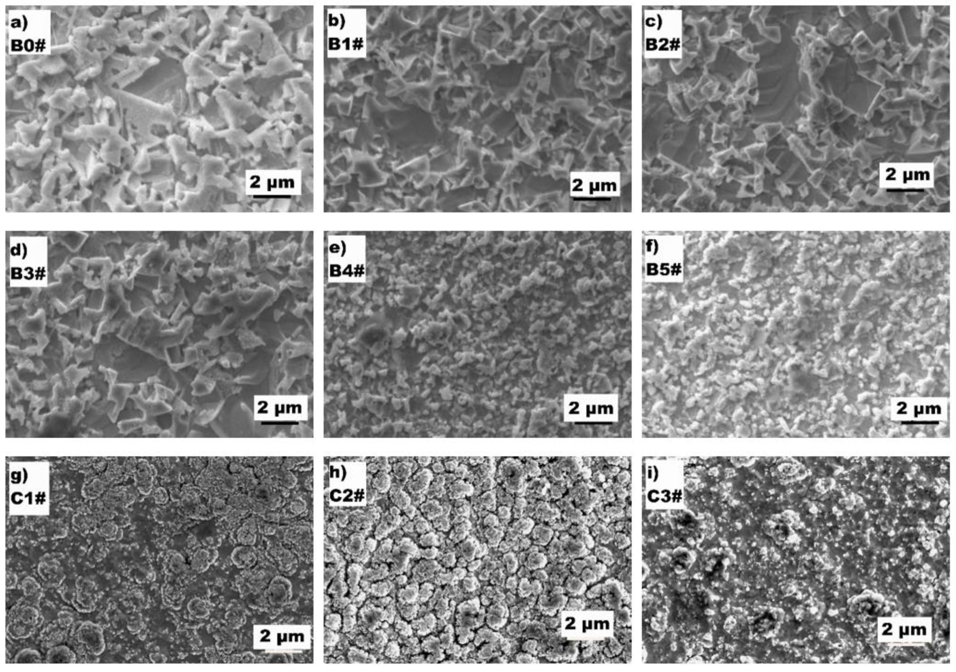 Coatings 11 01149 g001 Coatings 11 01149 g001