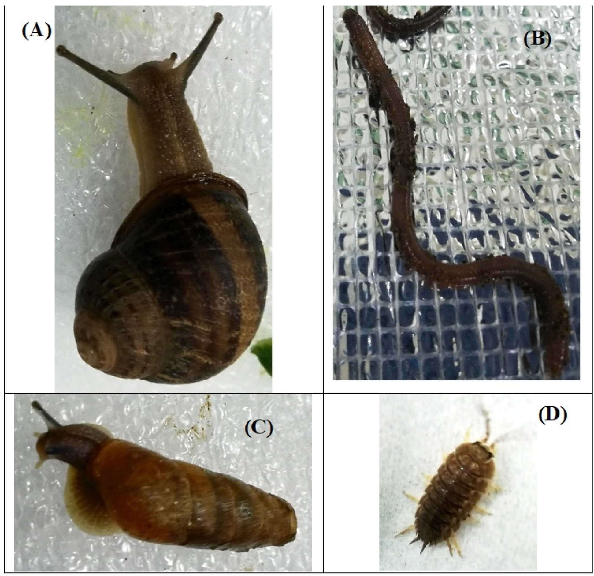Coatings 11 01152 g002 Coatings 11 01152 g002