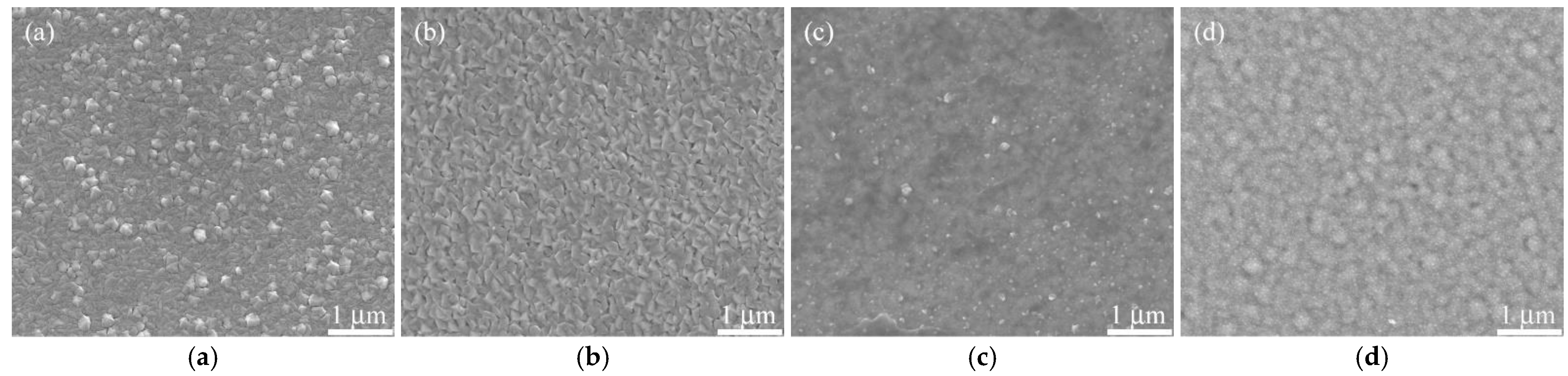 Coatings 11 01153 g002